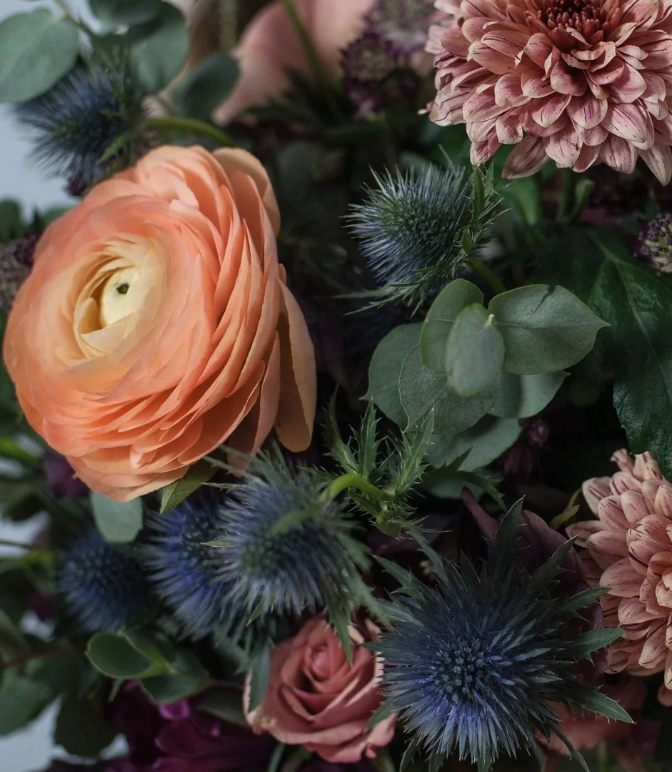 CG_close up72 (1 von 1).jpg