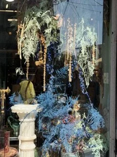 IMG_8841.jpeg