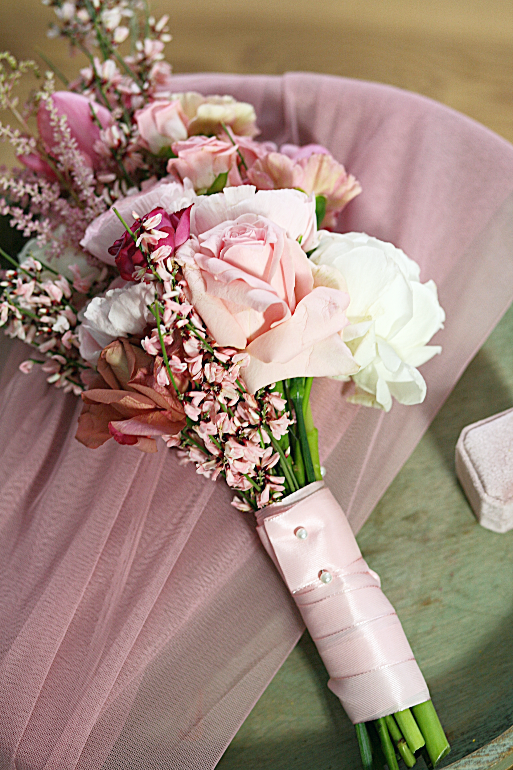 edited-photo (17).png