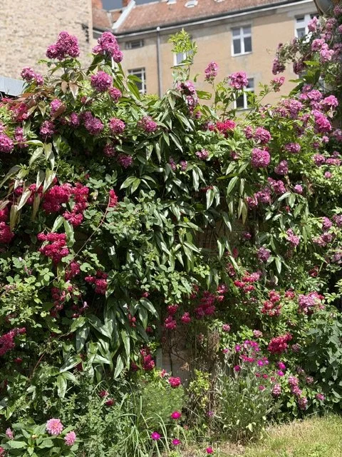 IMG_0618.jpeg