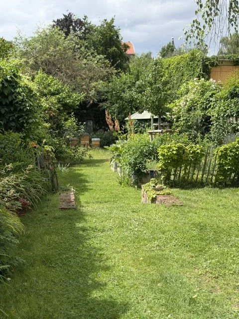 IMG_0621.jpeg