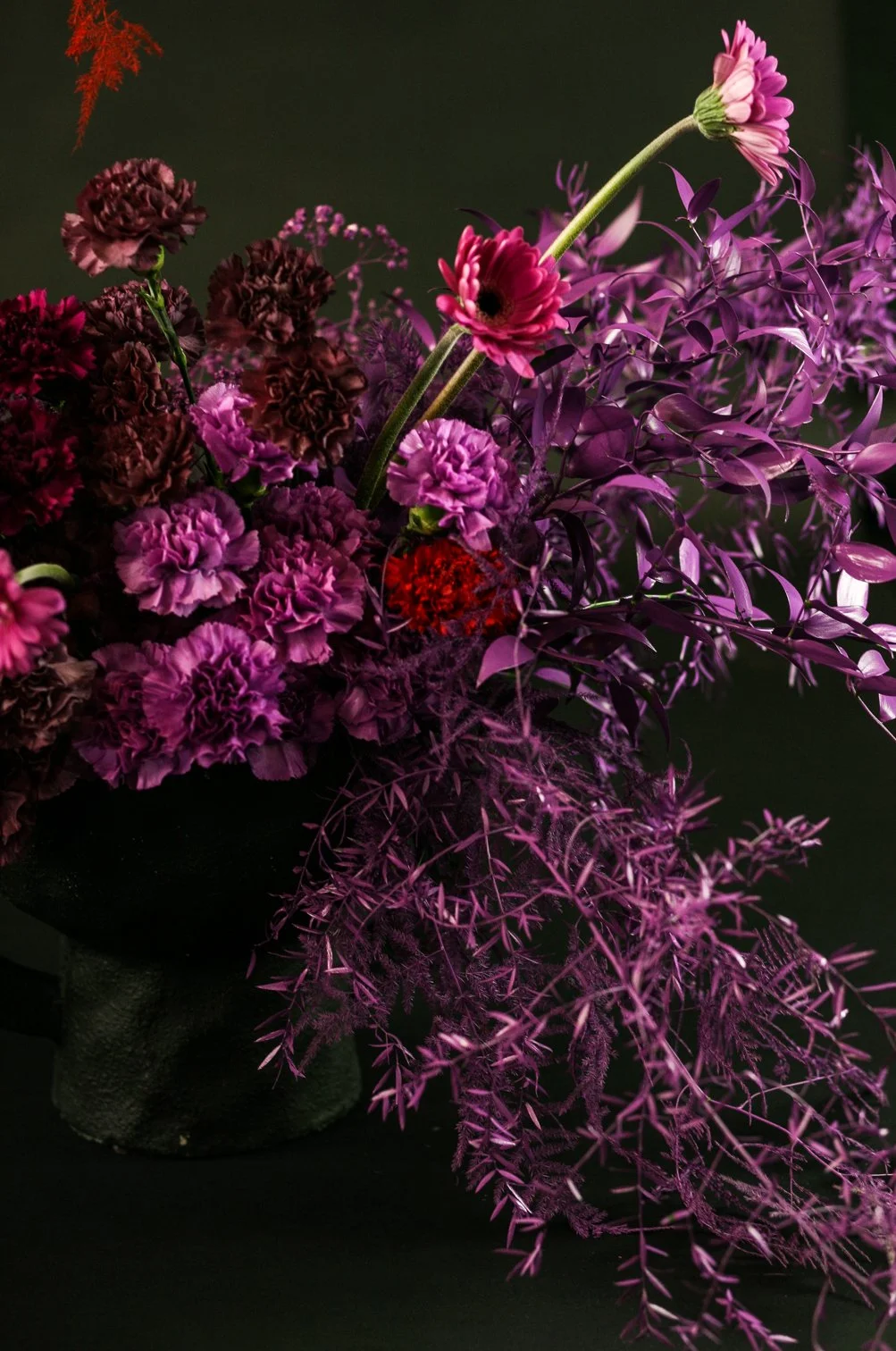 Kelly_10 (1 von 1).jpg