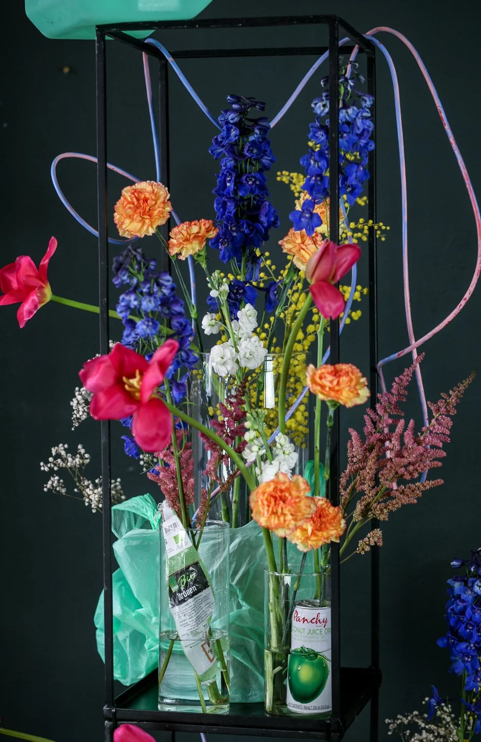 Alli_4 (1 von 1).jpg