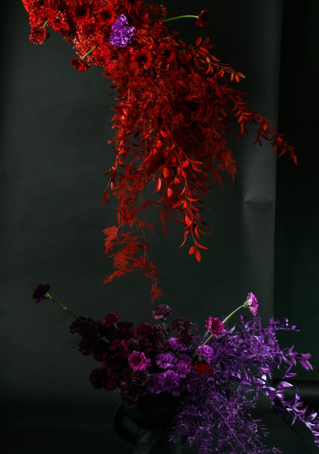 Kelly_5 (1 von 1).jpg