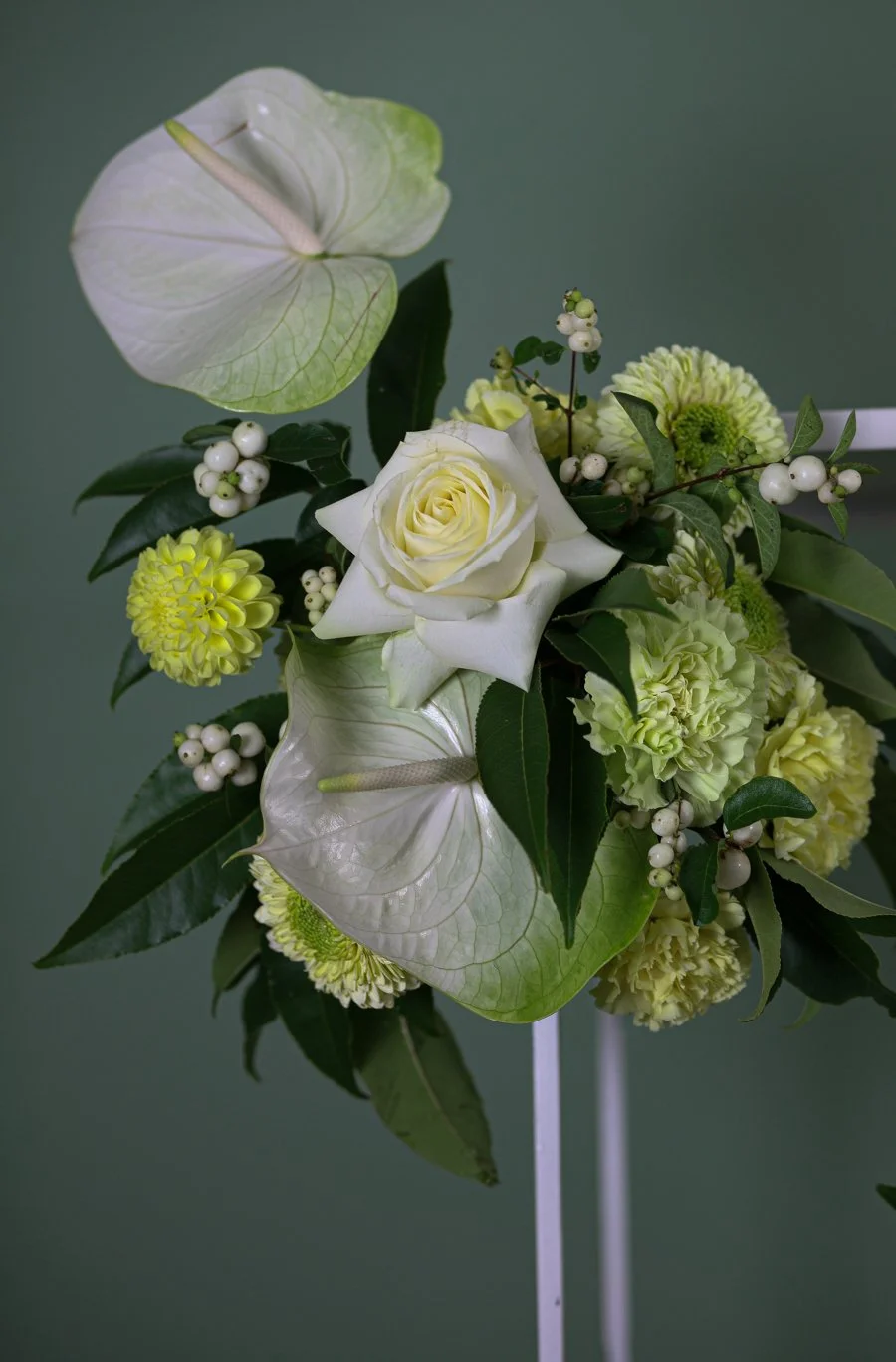 Rosa20 (1 von 1).jpg