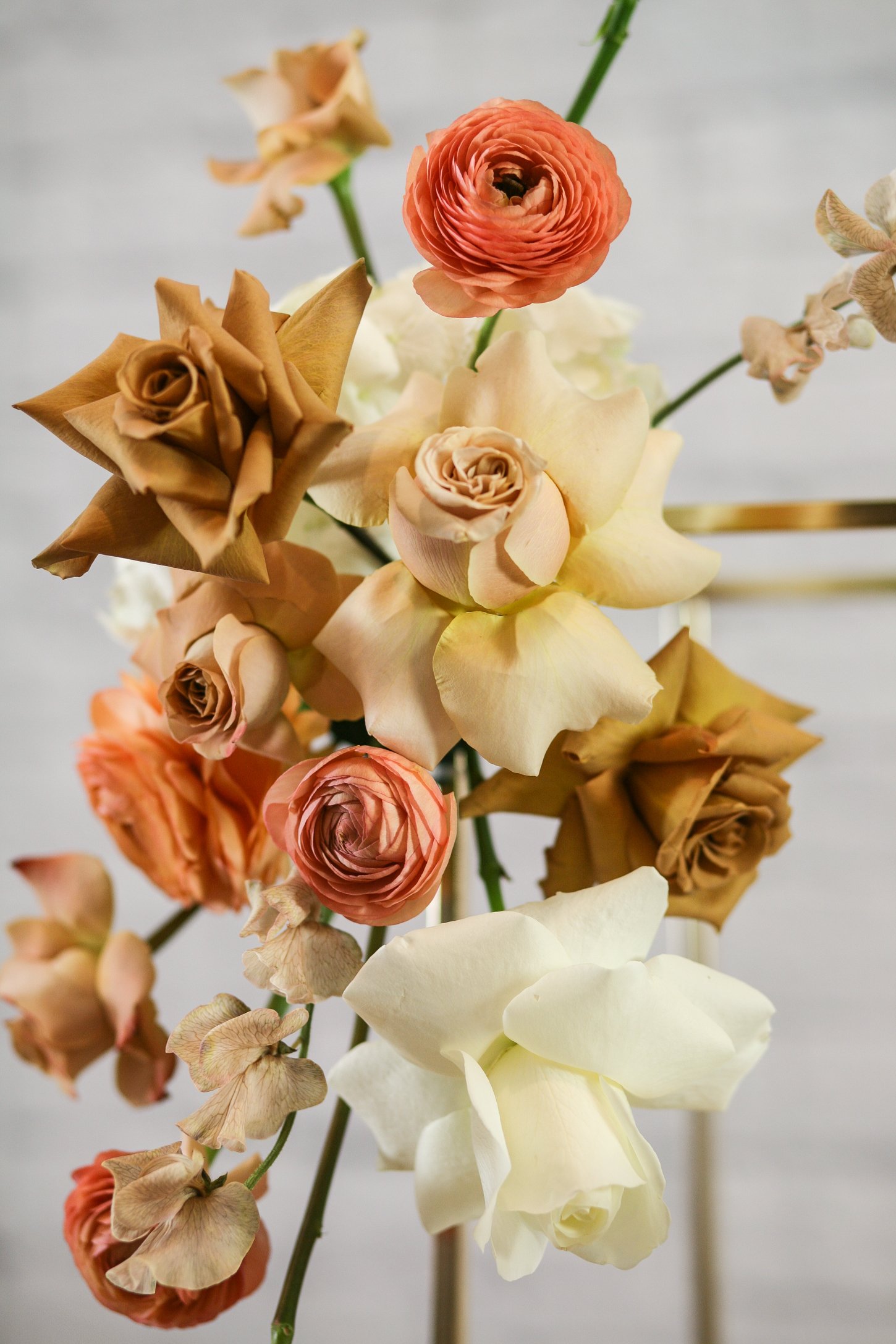 Final Project_2 (1 von 1).jpg