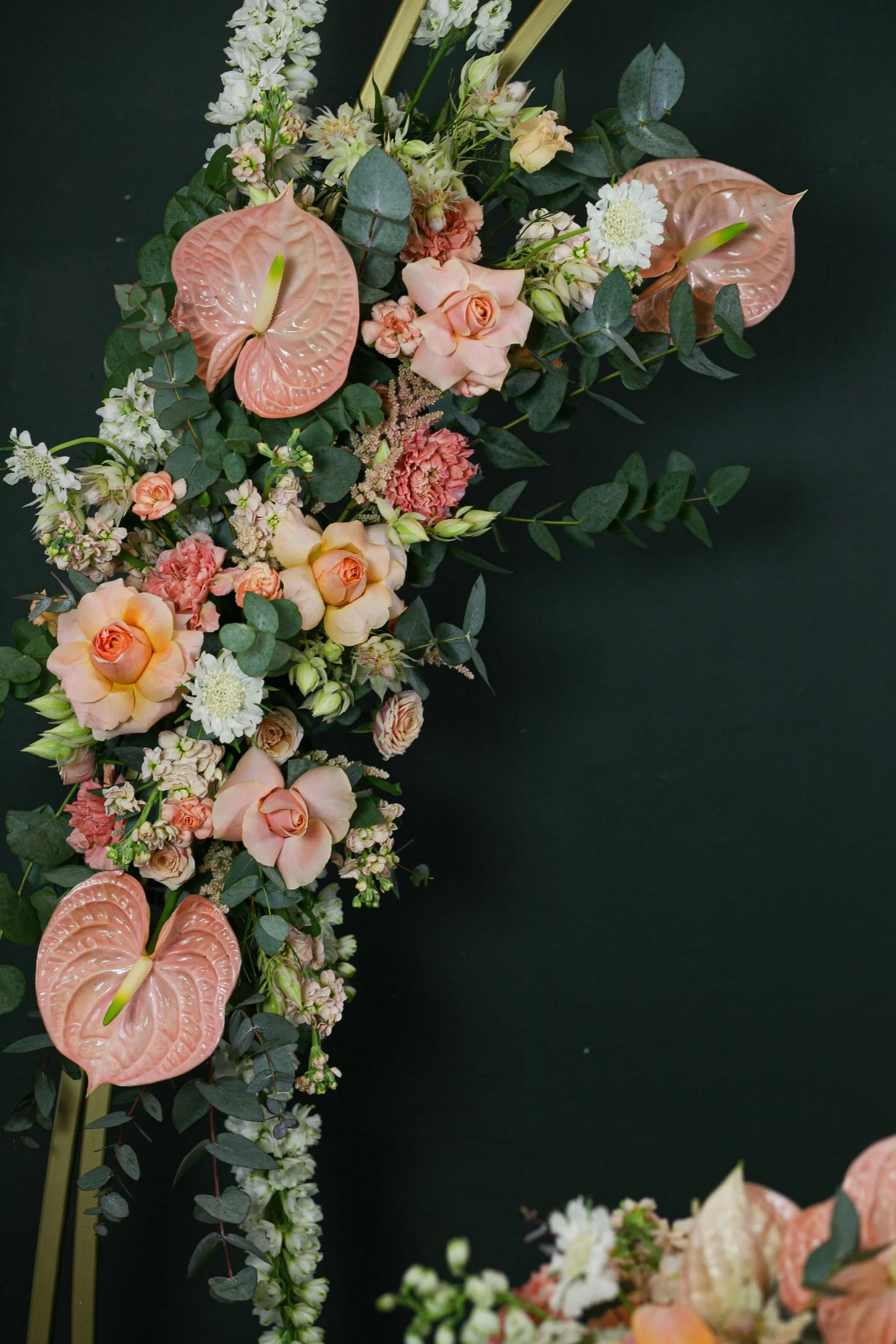 Kati_3 (1 von 1).jpg