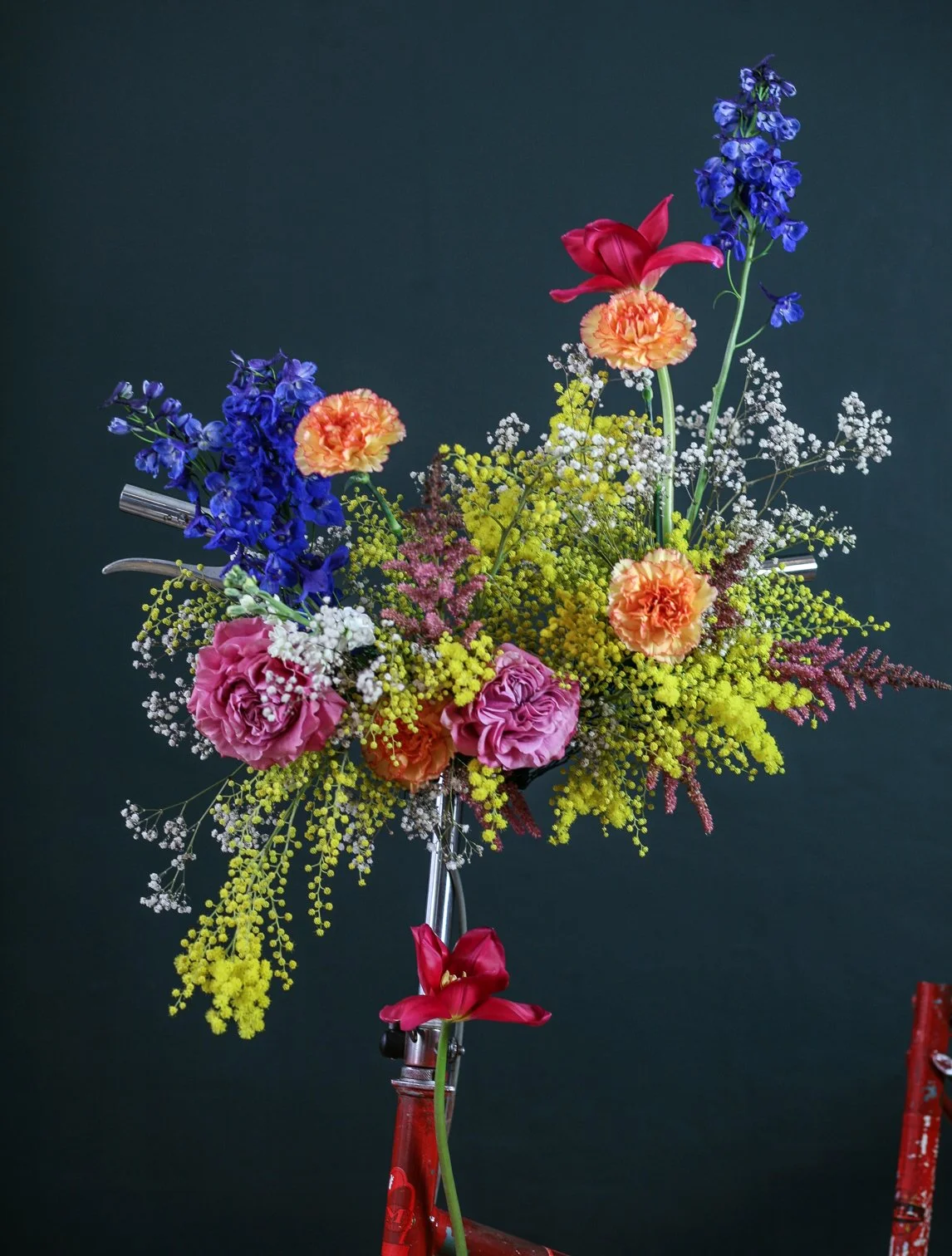 Alli_2 (1 von 1).jpg