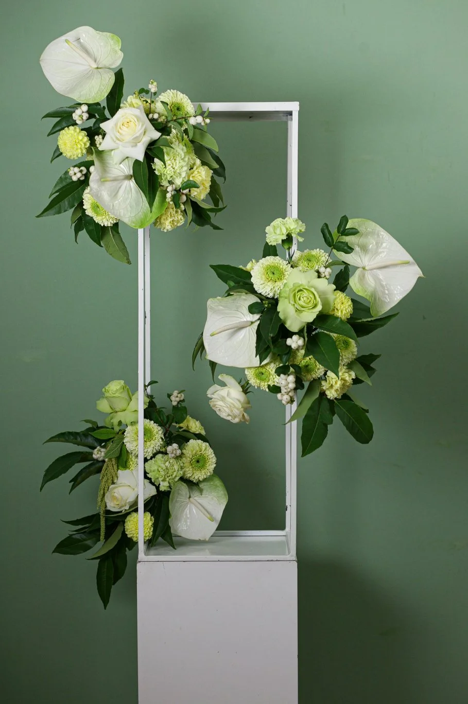 Rosa17 (1 von 1).jpg