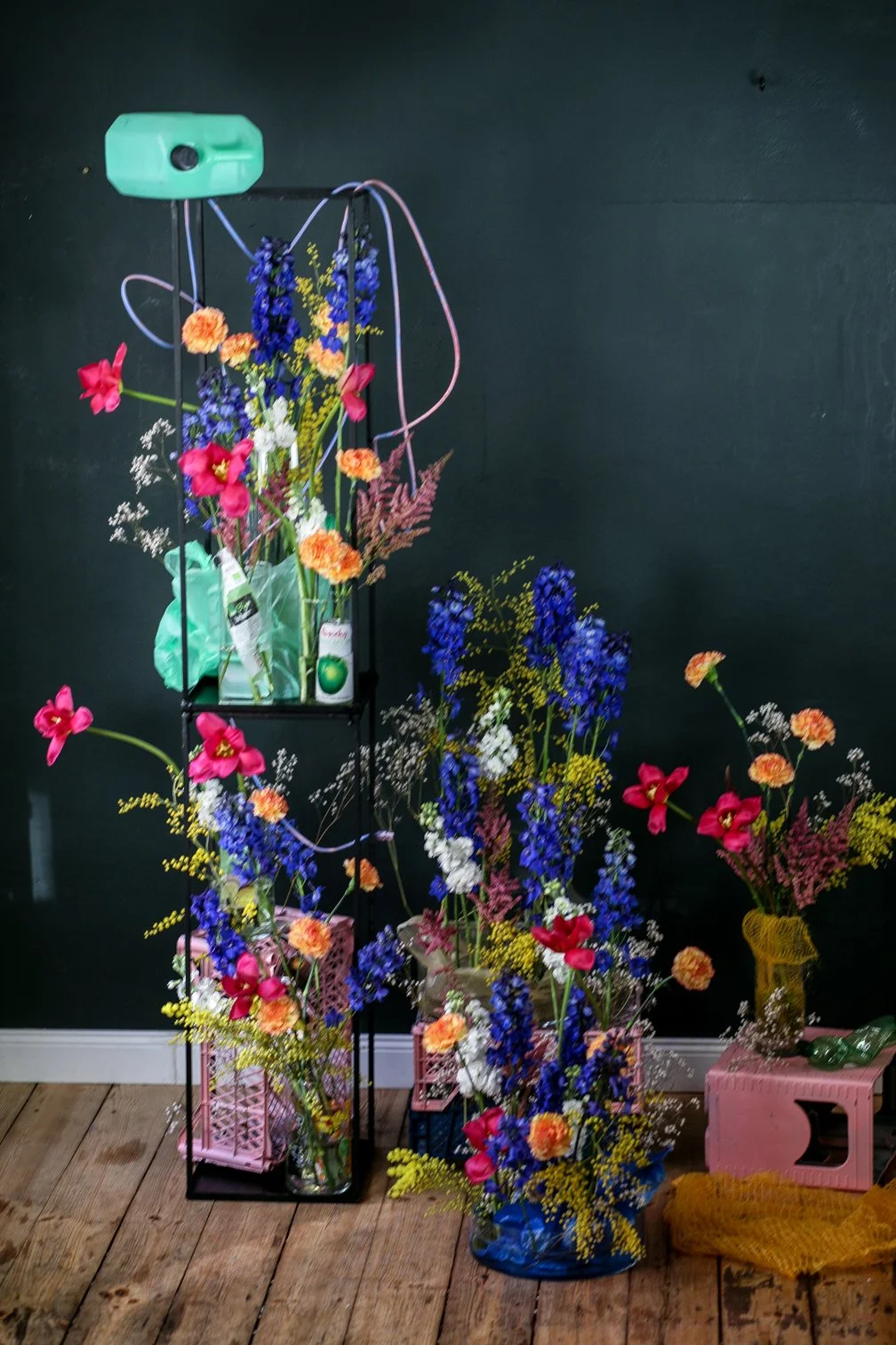 Alli_3 (1 von 1).jpg