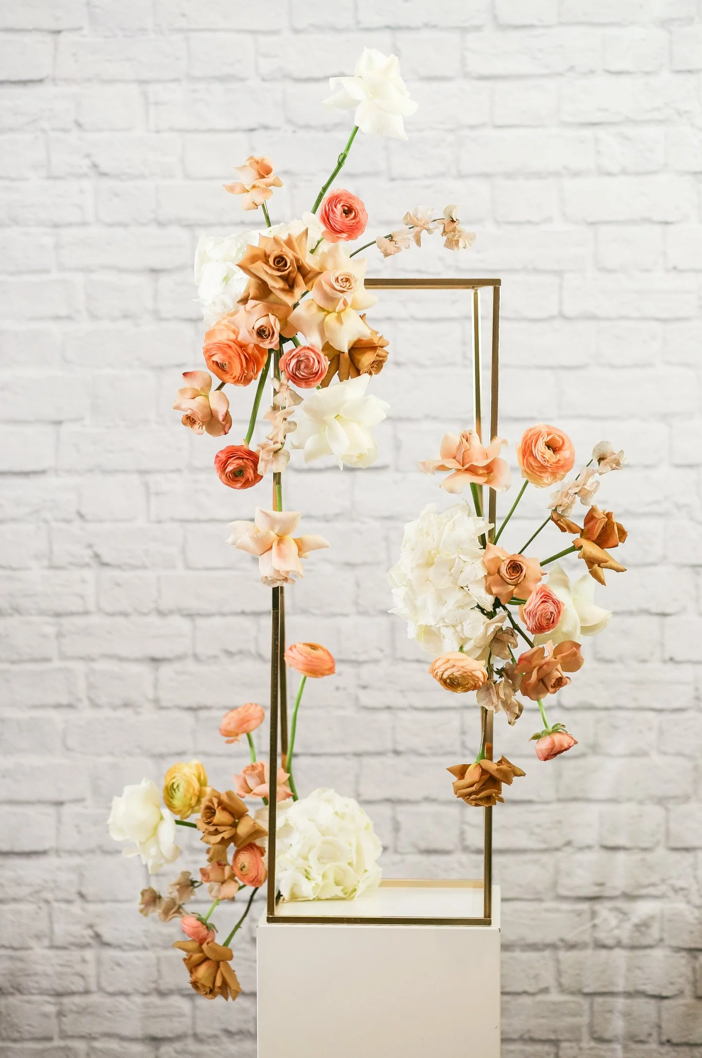 Final Project_5 (1 von 1).jpg