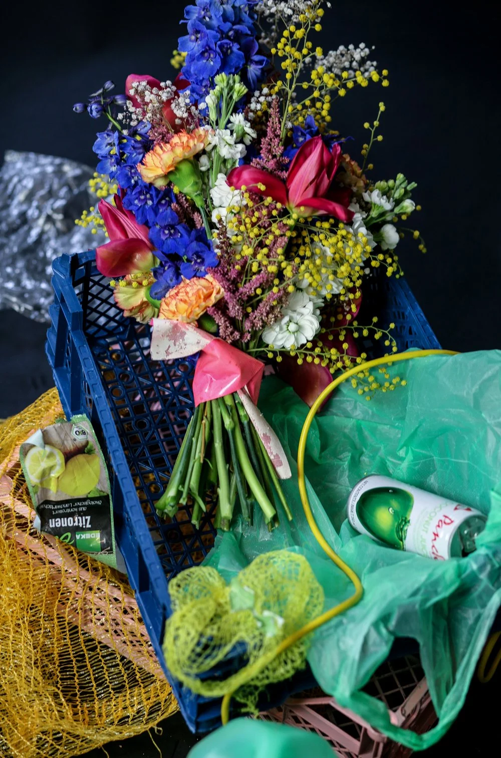 Alli_11 (1 von 1).jpg