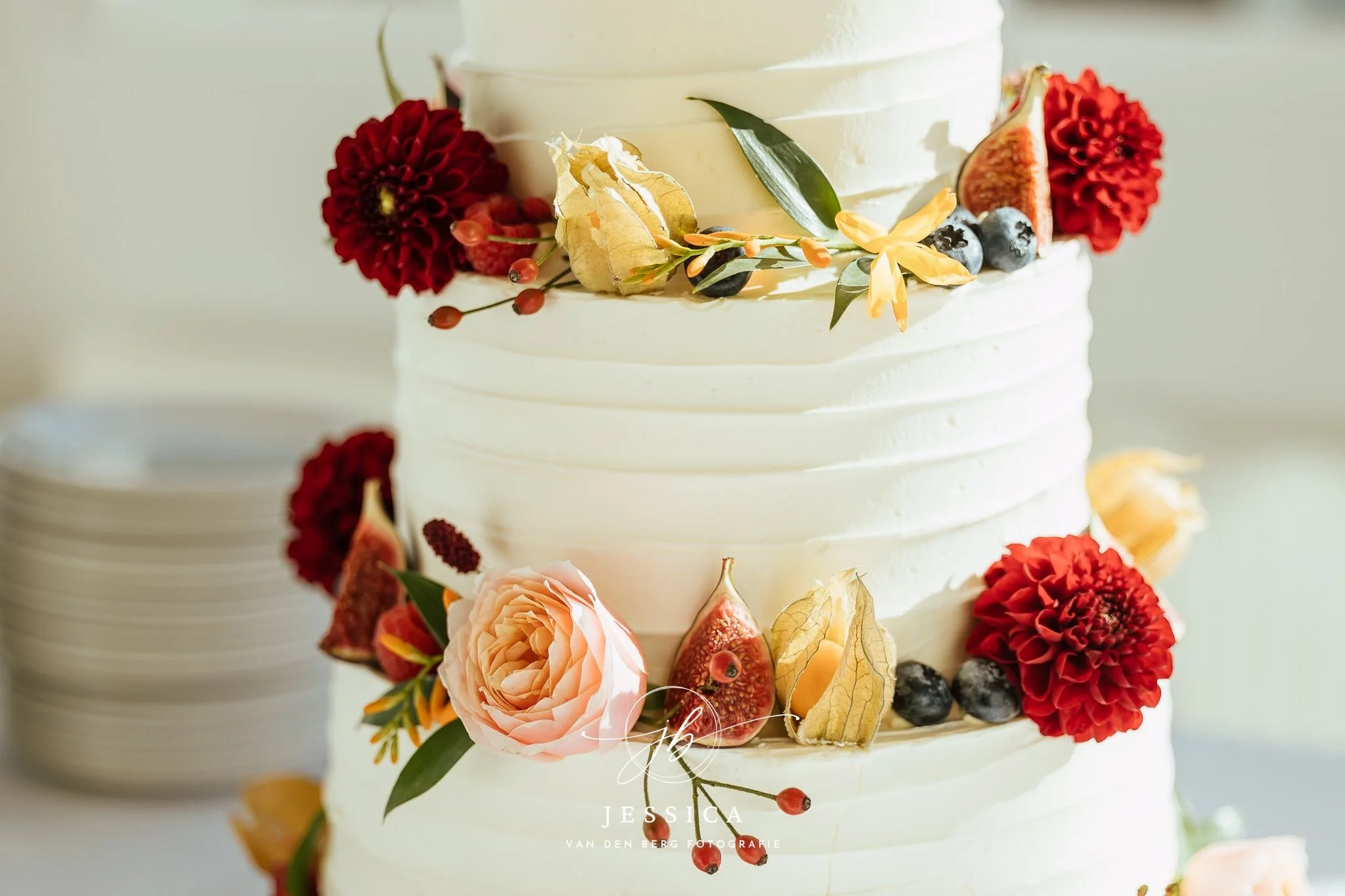 0d2b05dd-8301-4b2b-a087-b4175dcb0327 (1).JPG