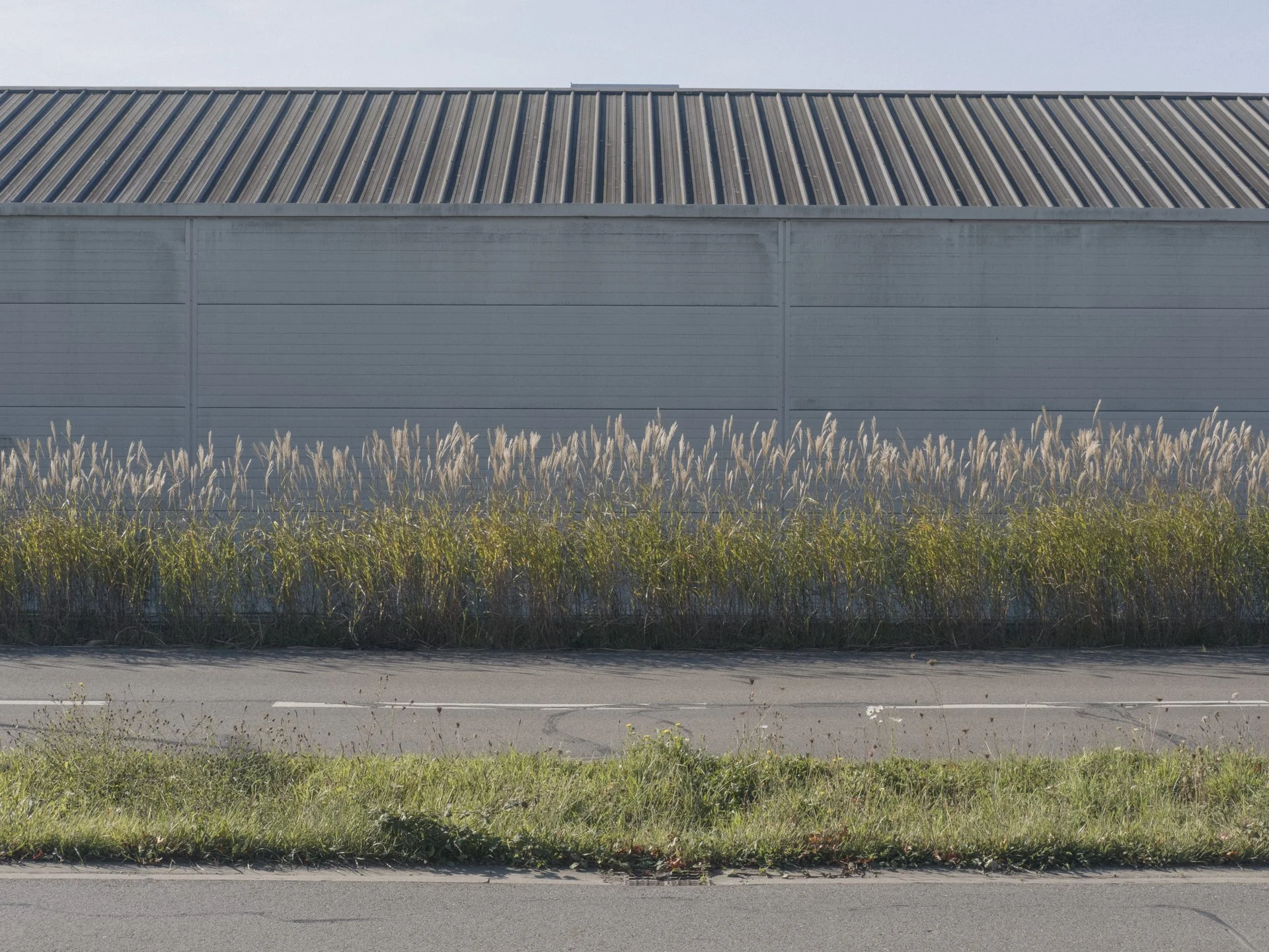 nouvel export zac -9.jpg