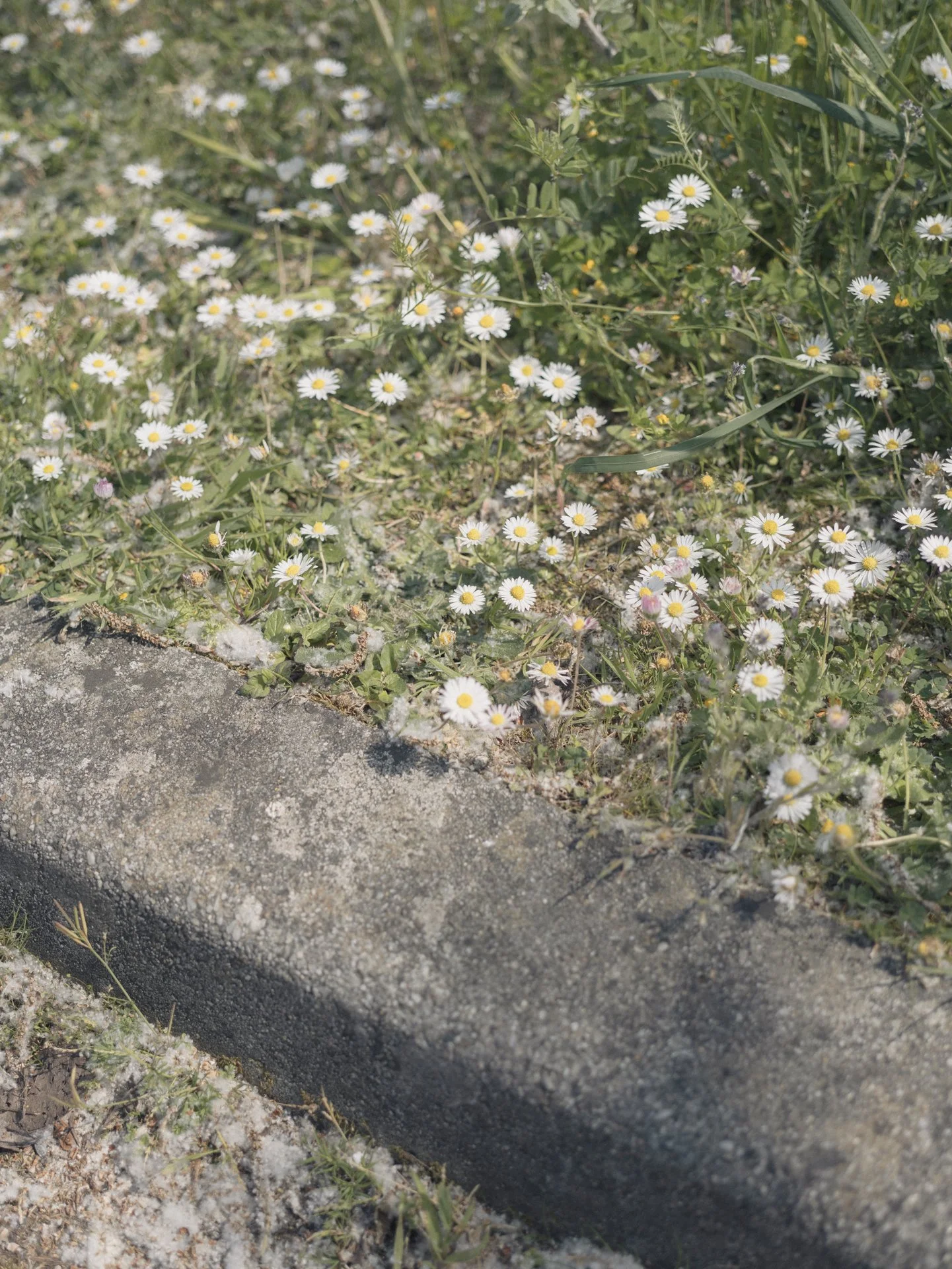 nouvel export zac -18.jpg