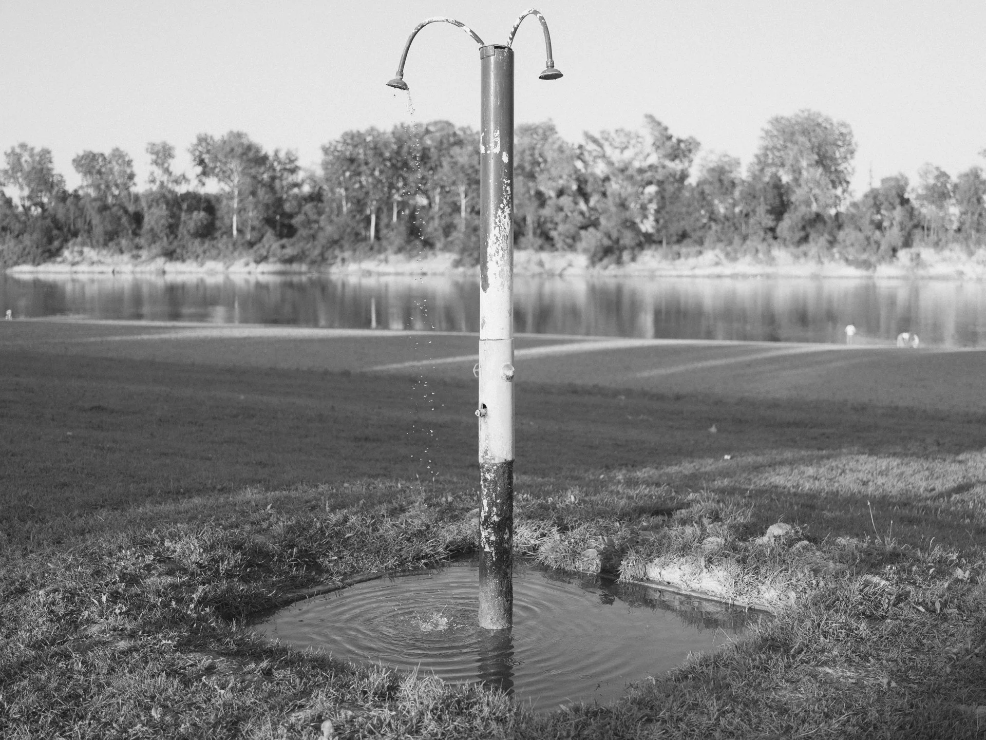 Balkans Export couleur pour site .jpg