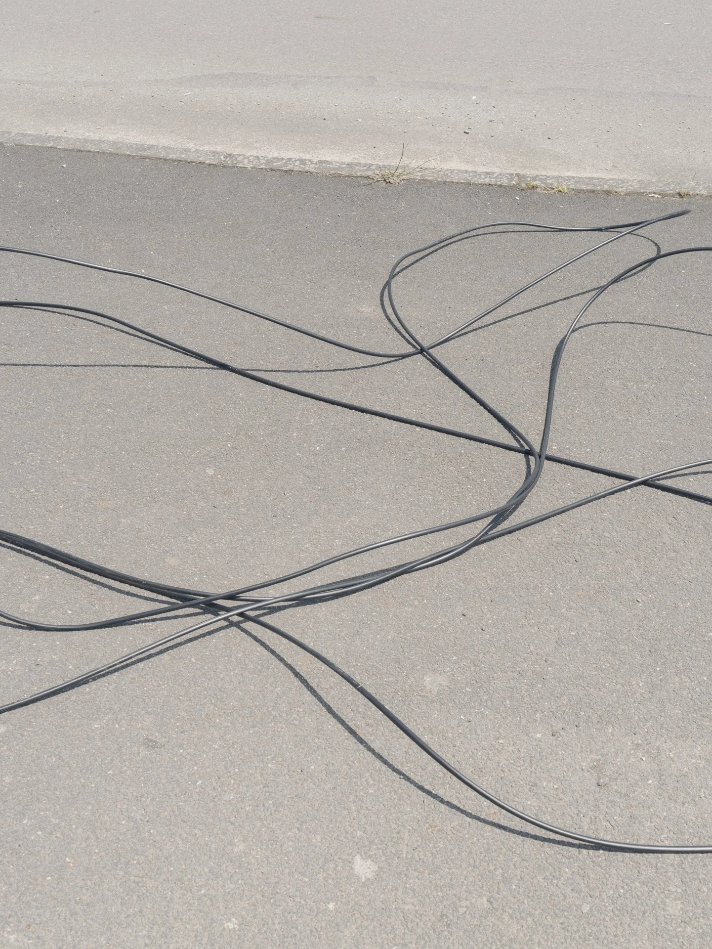 nouvel export zac -20.jpg