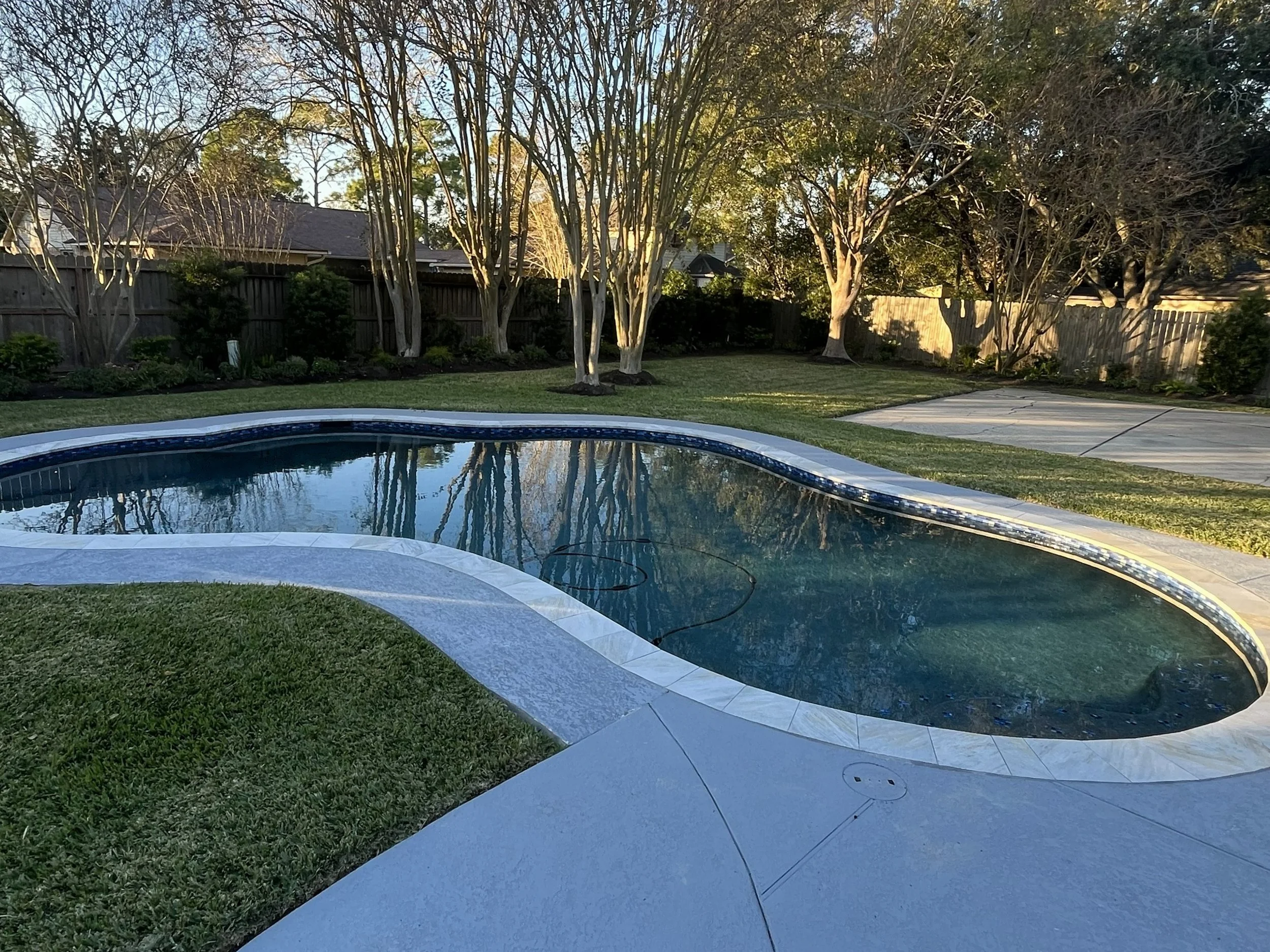 Backyard with a swimming pool, green grass, and a row of trees against a wooden fence in the late afternoon.