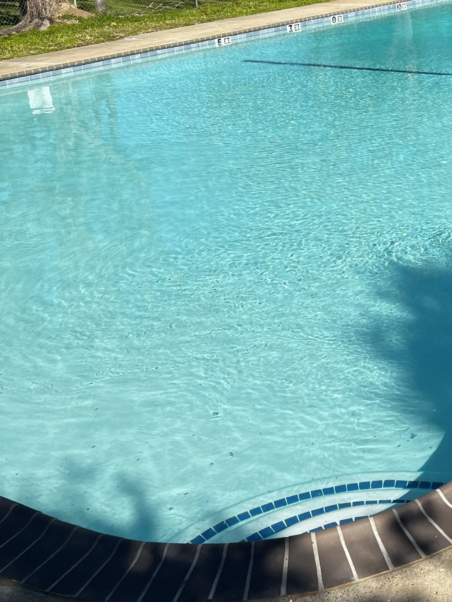 A swimming pool with clear blue water, a black and white striped pool edge, and depth markers along the top edge, with grass and trees in the background.