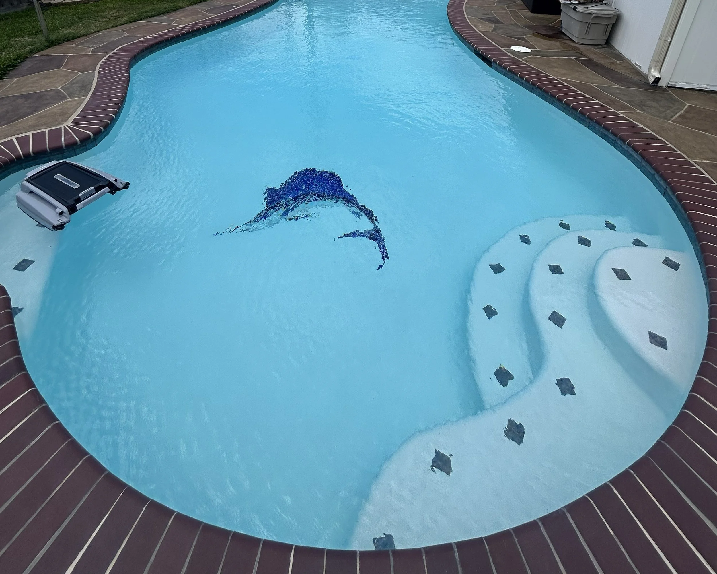 The Landing in League City swimming pool with sailfish mosaic, new white plaster and accent tiles.