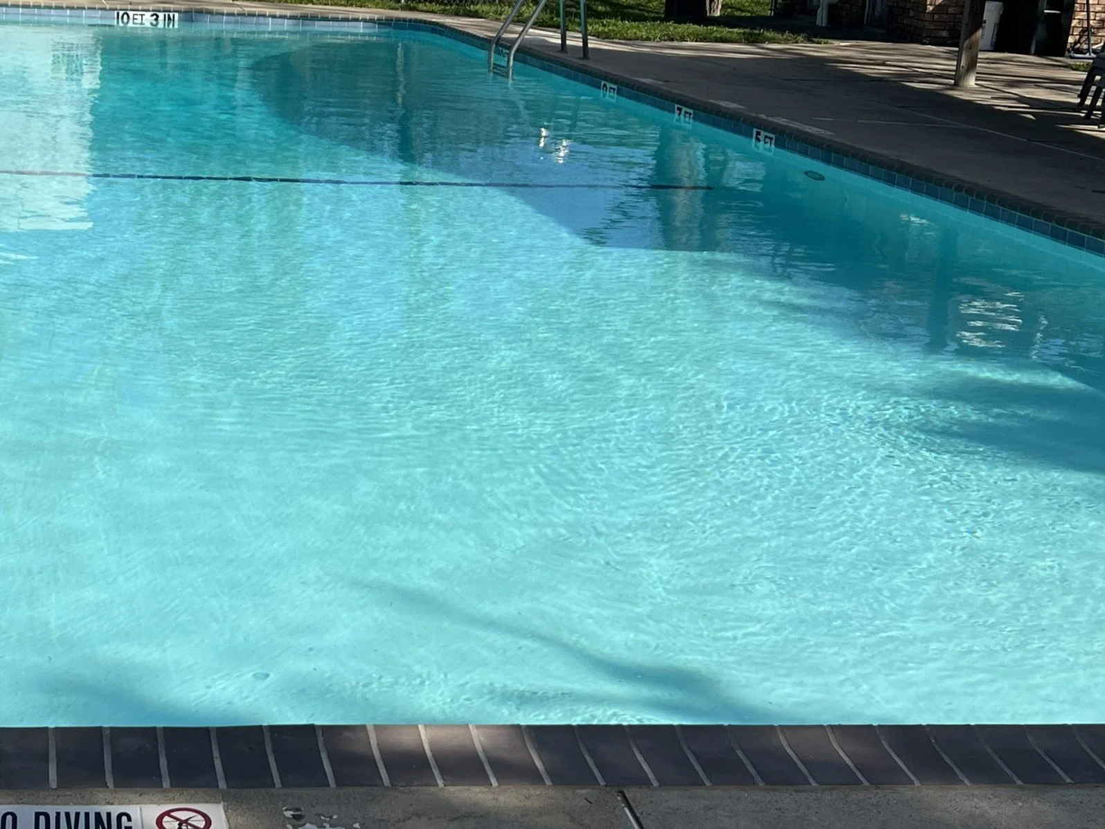Empty outdoor swimming pool with clear blue water, a ladder, and depth markers on the side, in a residential or park setting.