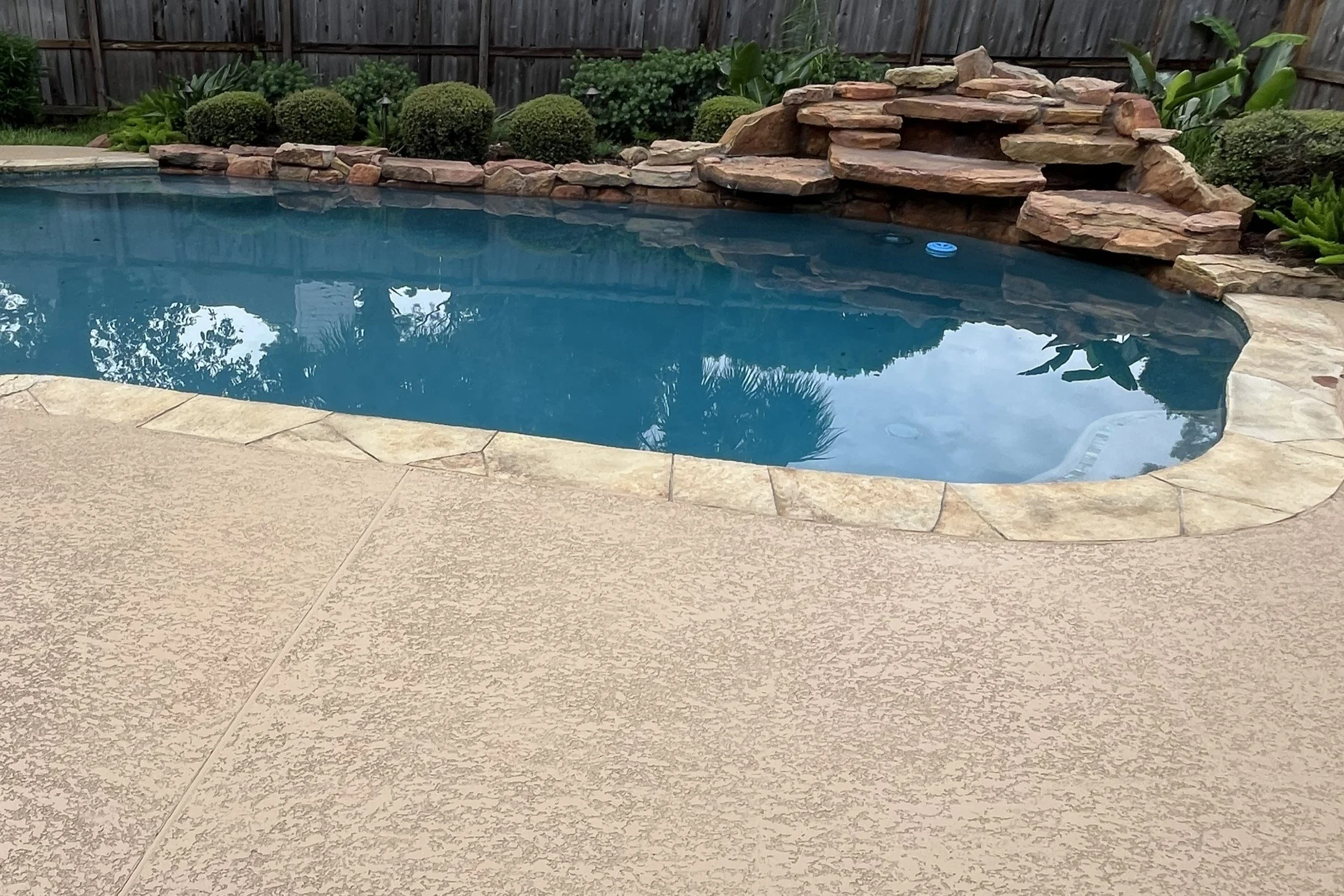 A backyard swimming pool with natural stone coping, a stone waterfall feature, surrounded by landscaping with shrubs and plants, and a wooden privacy fence in the background.