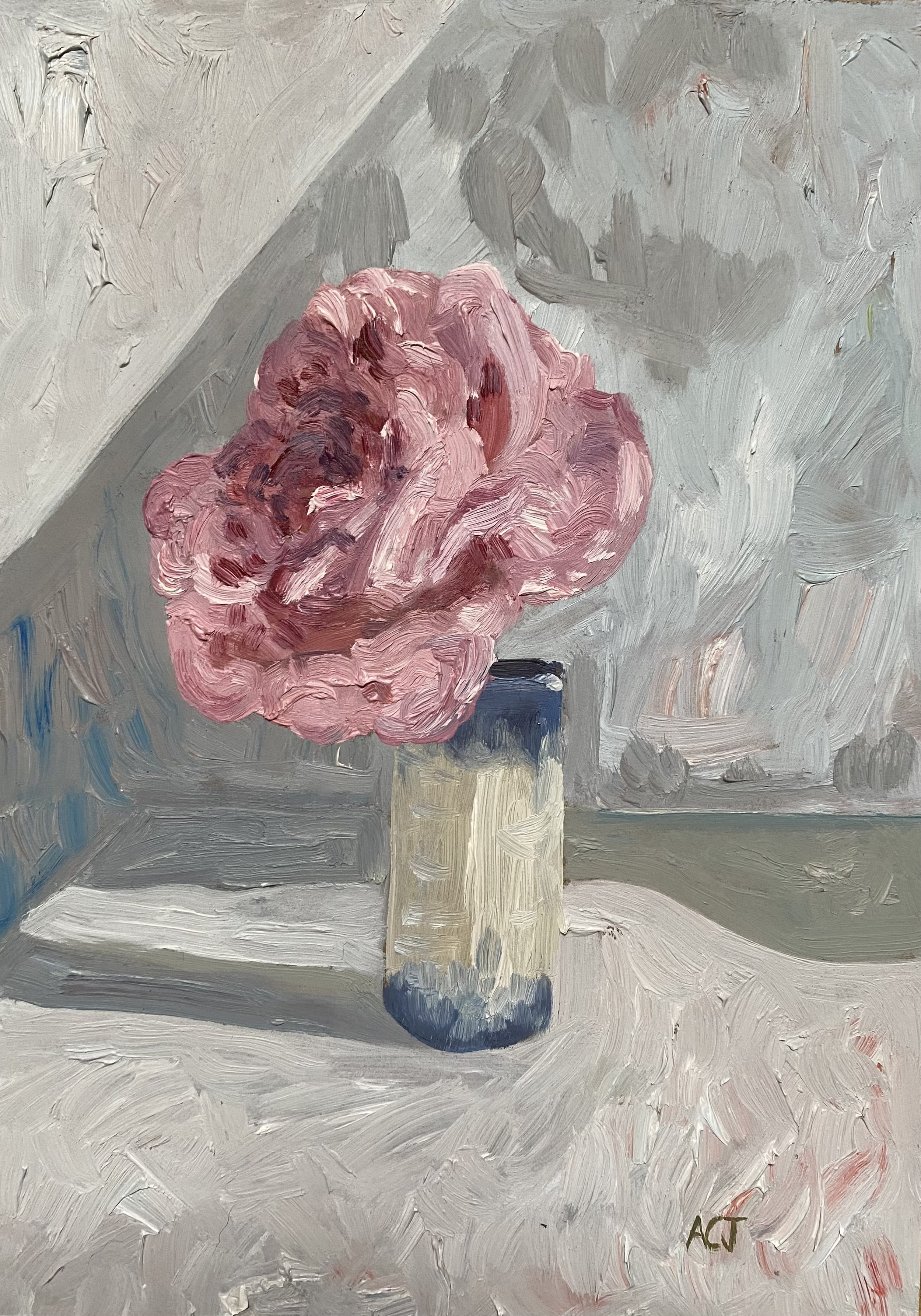 'Pink Rose'