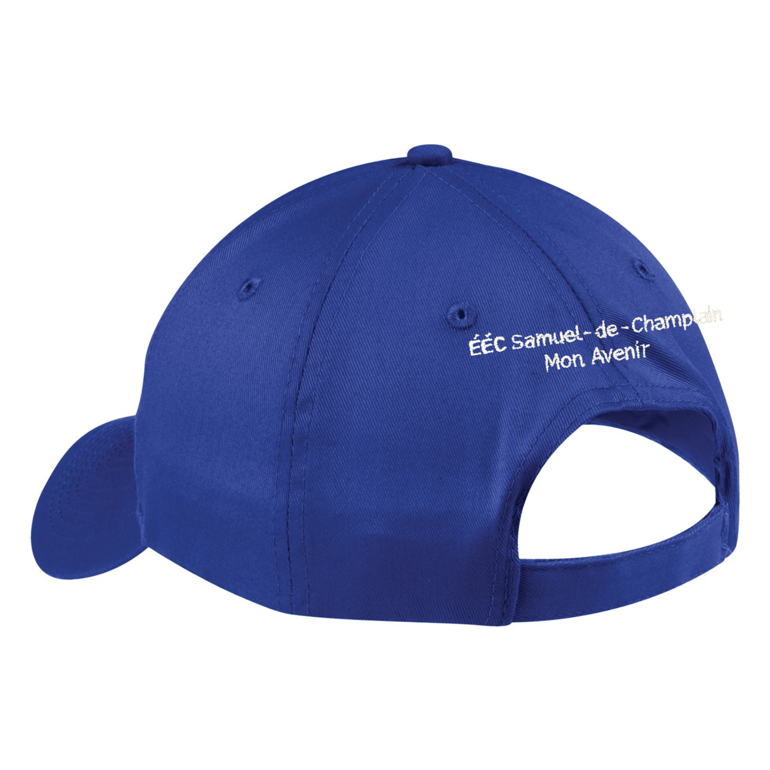 Adult cap - back.png