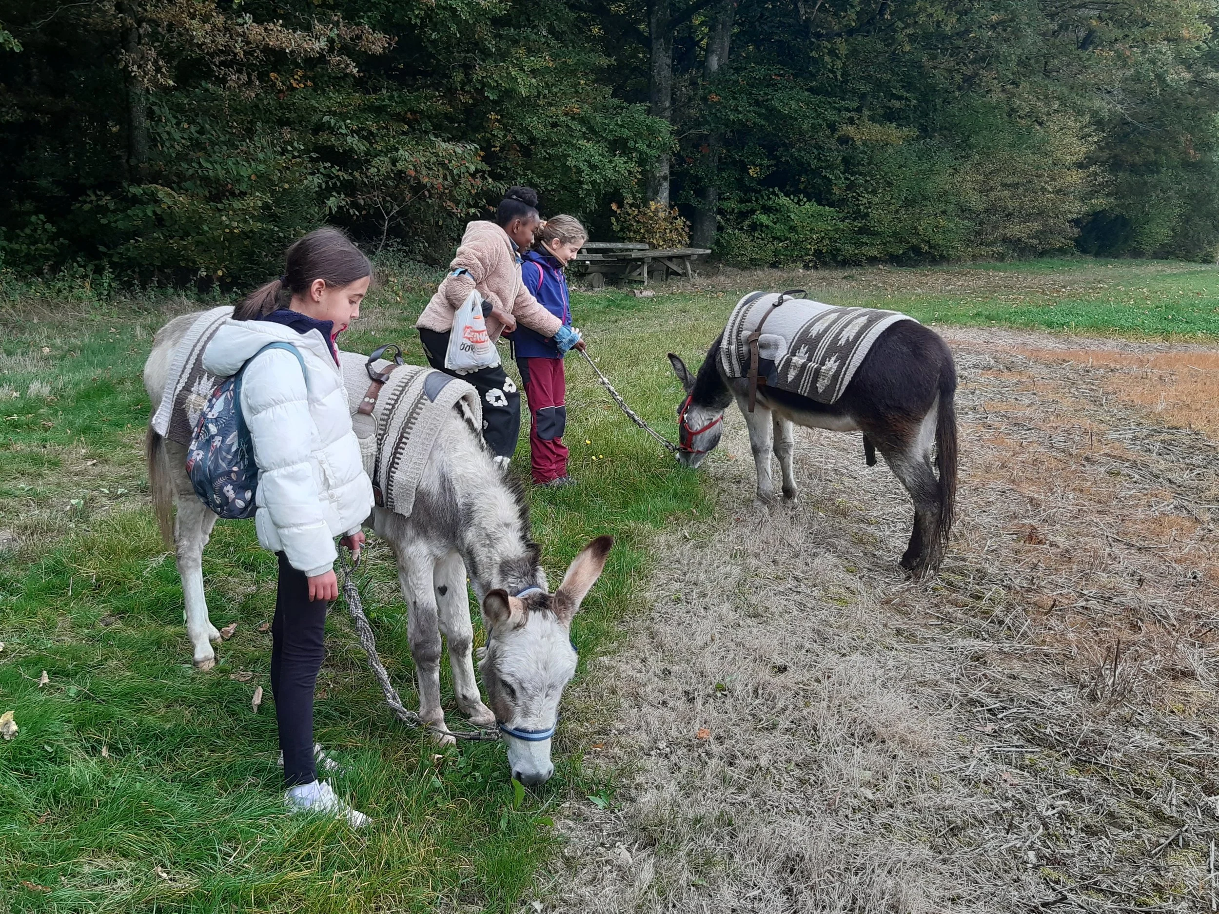 5009 Randonnee avec des anes_012.jpg