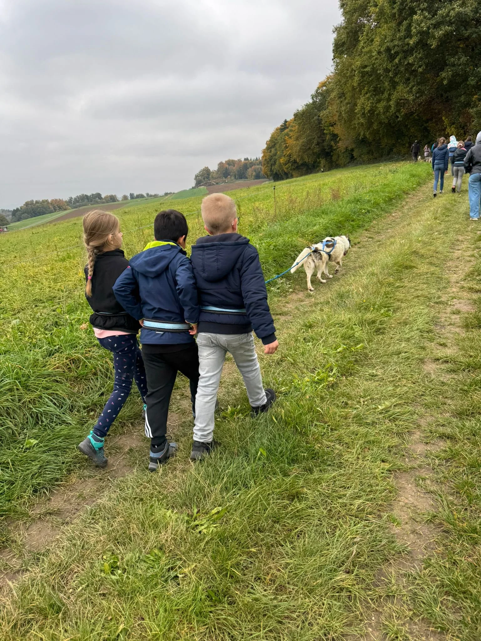 0110 Decouverte des chiens de traîneau_010.jpg