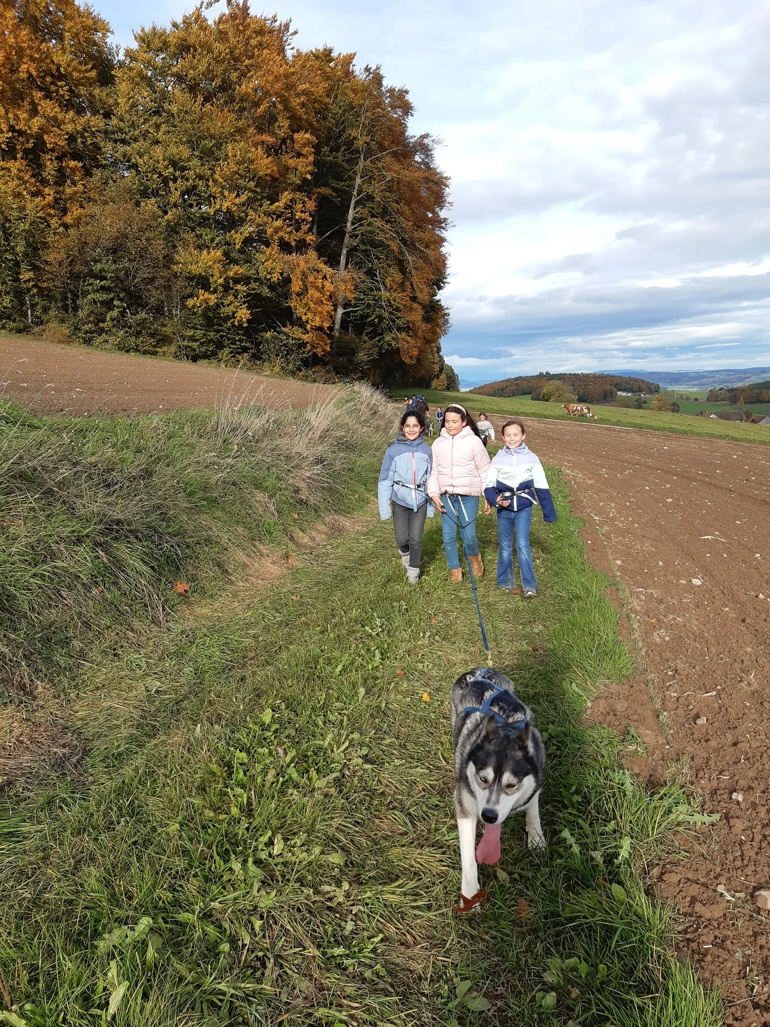 0110 Decouverte des chiens de traîneau_044.jpg