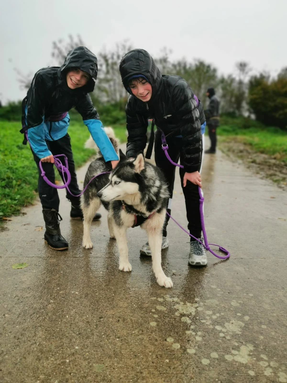 0110 Decouverte des chiens de traîneau_001.jpg