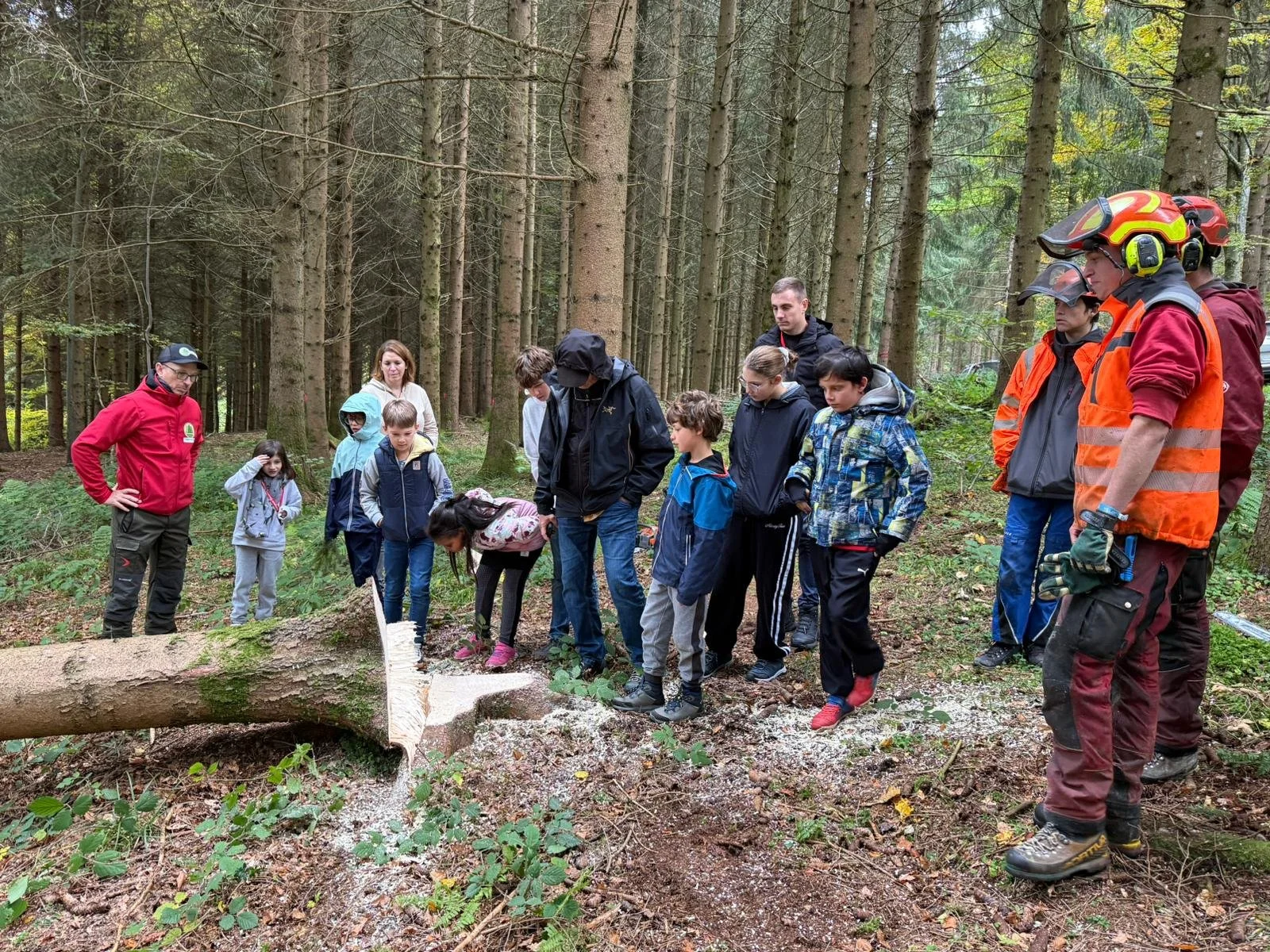 0780 Le bois des brigands_008.jpg