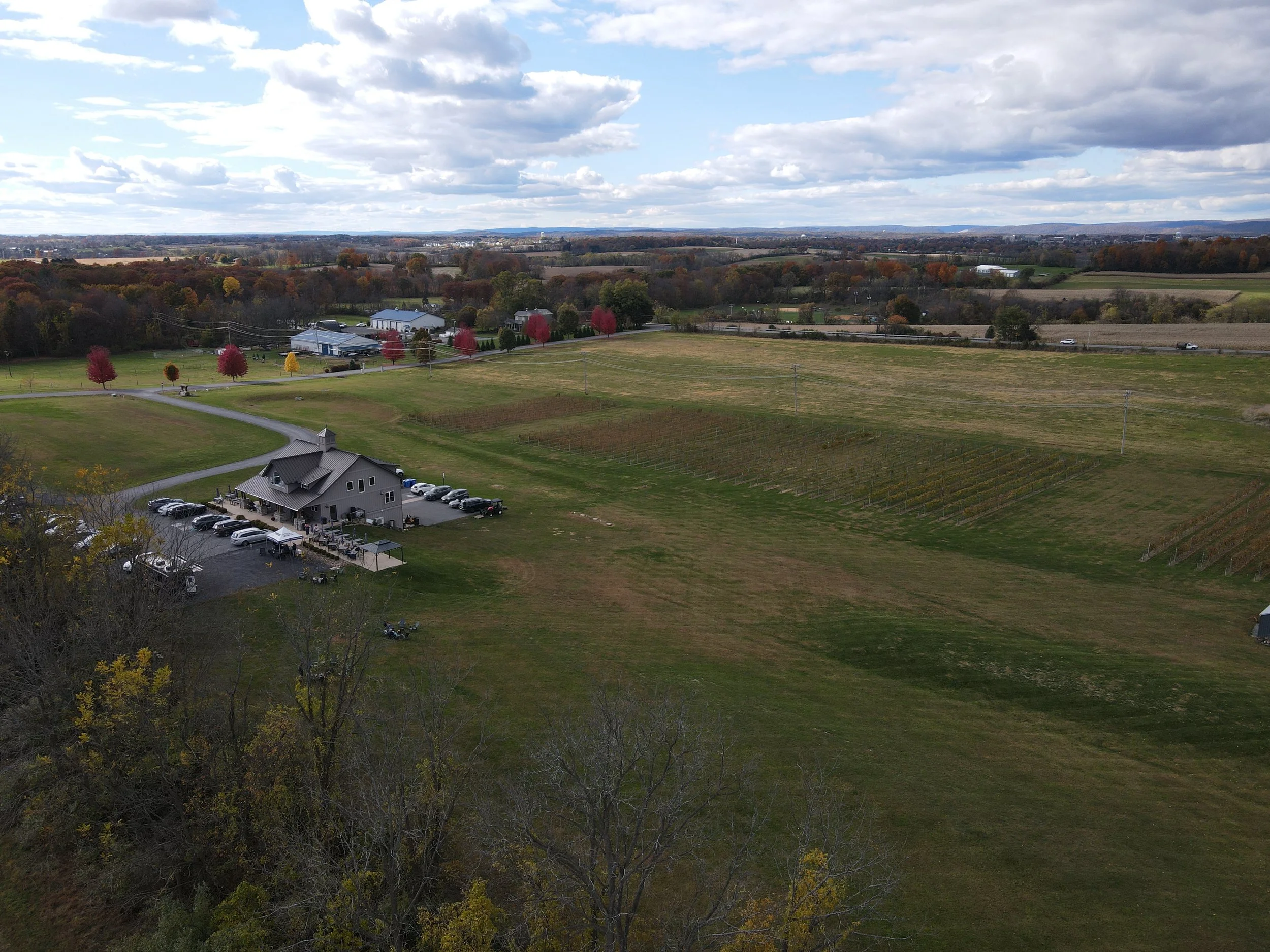 Aerial view of a rural landscape with a large gray house, parking lot, open fields, farm buildings, and a vineyard with rows of grapevines, under a partly cloudy sky.