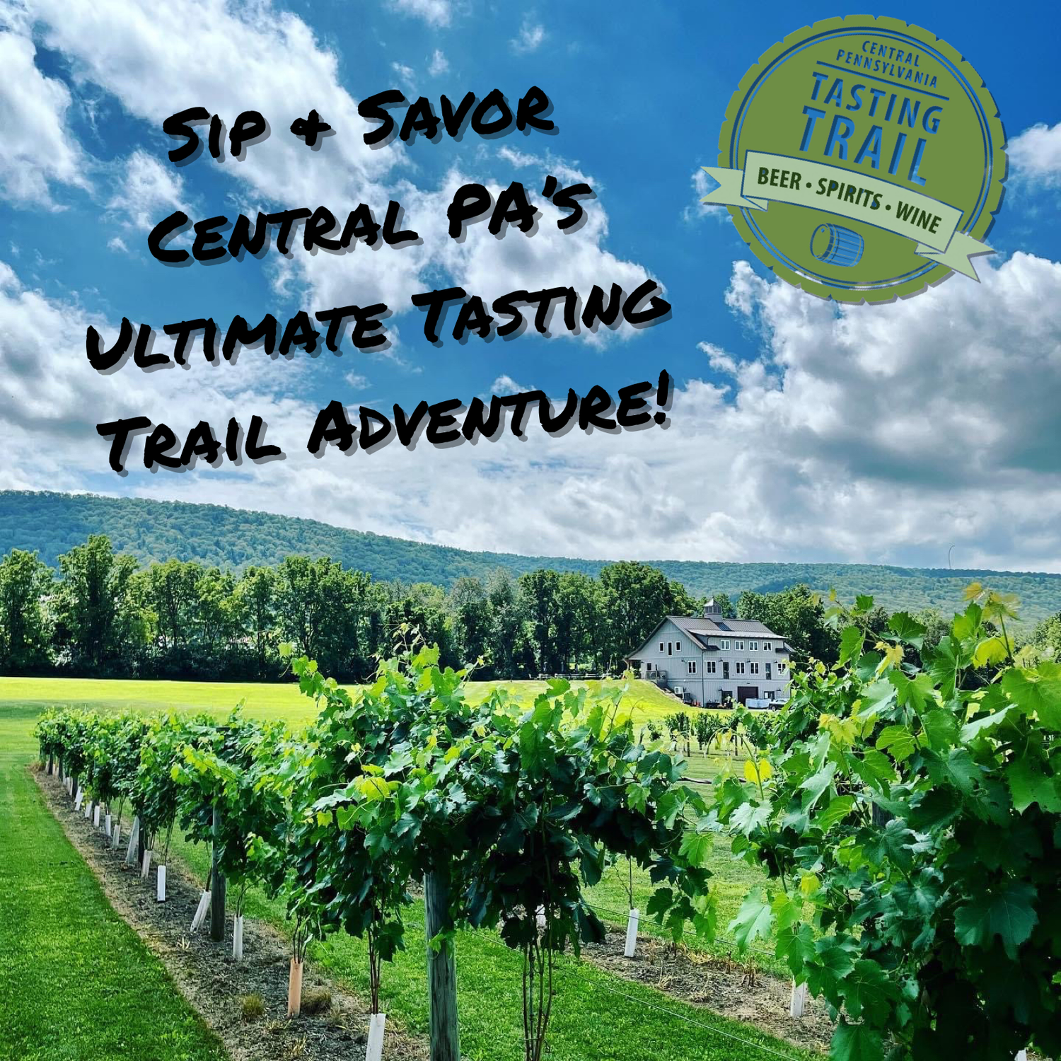 Vineyard with rows of grapevines, a large white building, green hills in the background, and a partly cloudy sky. Text overlay promoting a tasting trail in central Pennsylvania, covering beer, spirits, and wine.