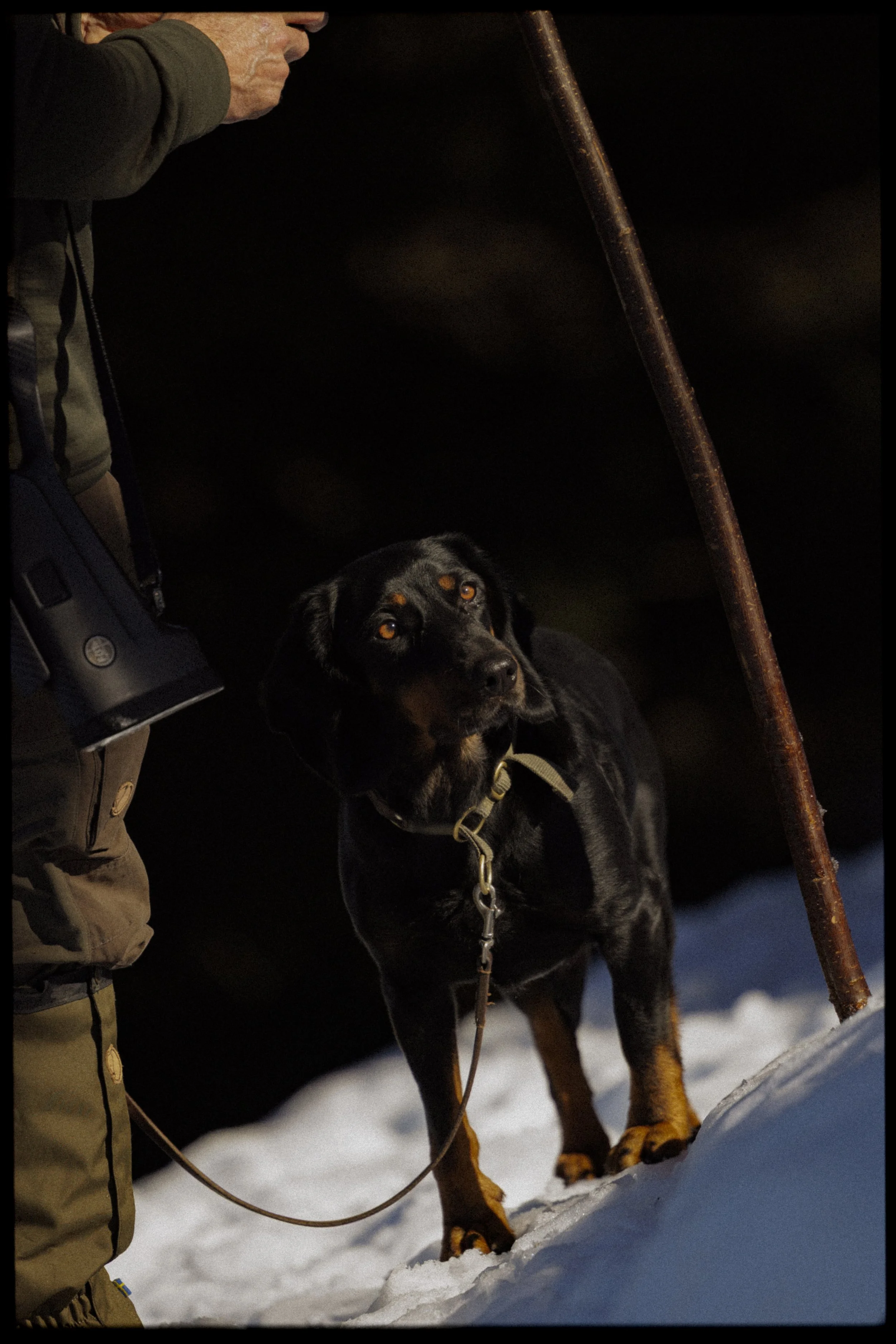 DMalou_IMG_4281-2.jpg
