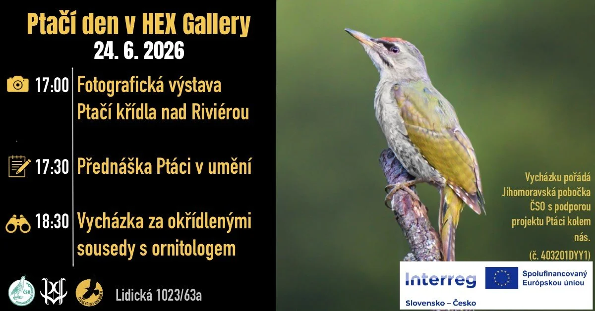 Otevření výstavy Ptačí křídla nad Riviérou