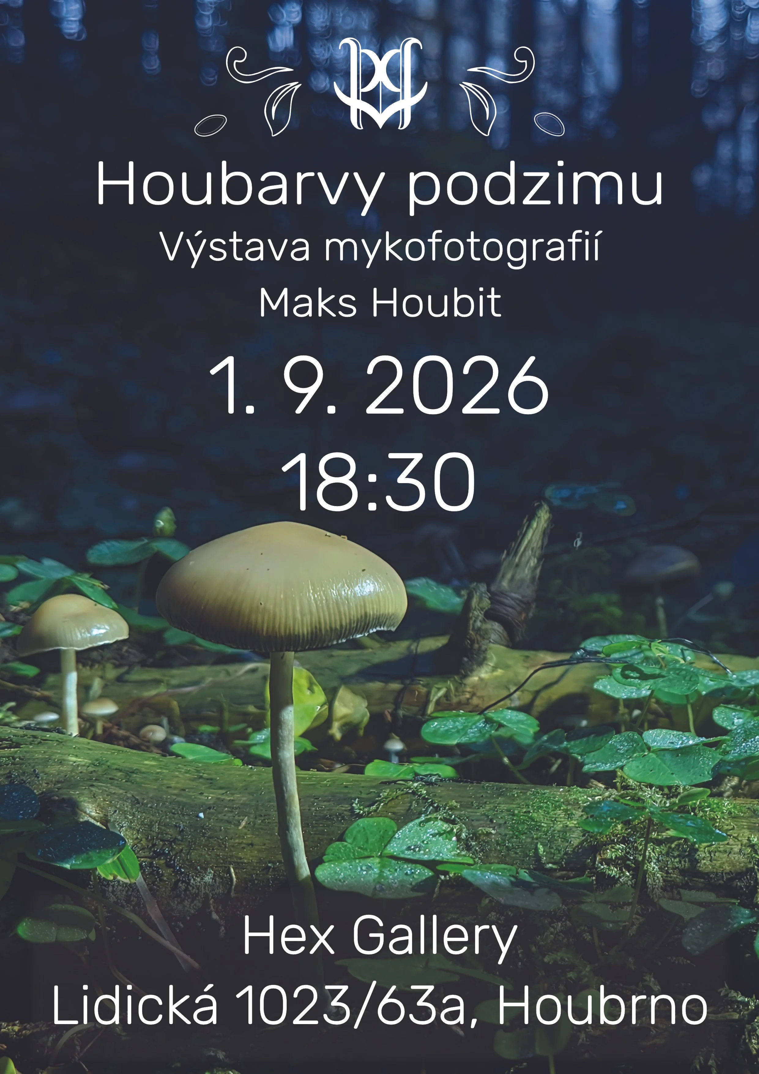 Houbarvy podzimu - výstava mykofotografií Makse Houbita
