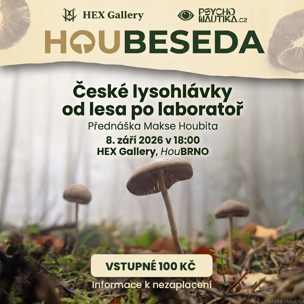 Houbeseda: České lysohlávky od lesa po laboratoř