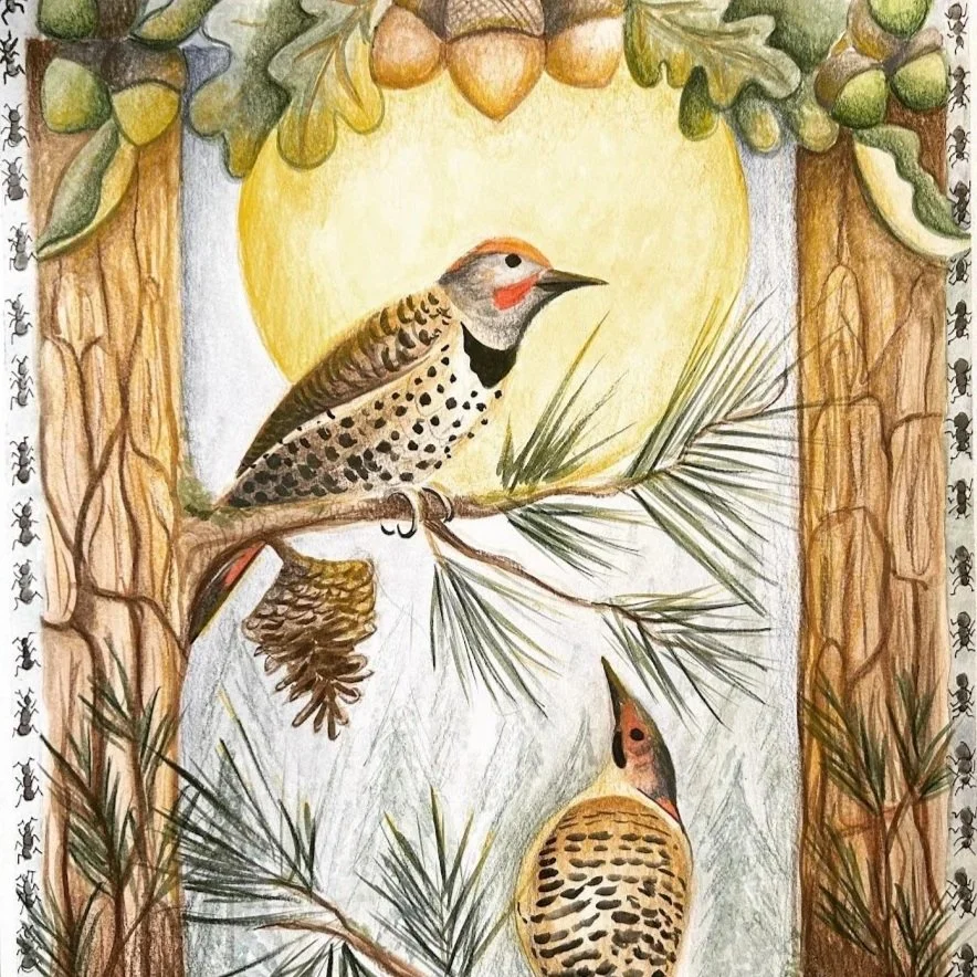 Bird+Watercolor.jpg