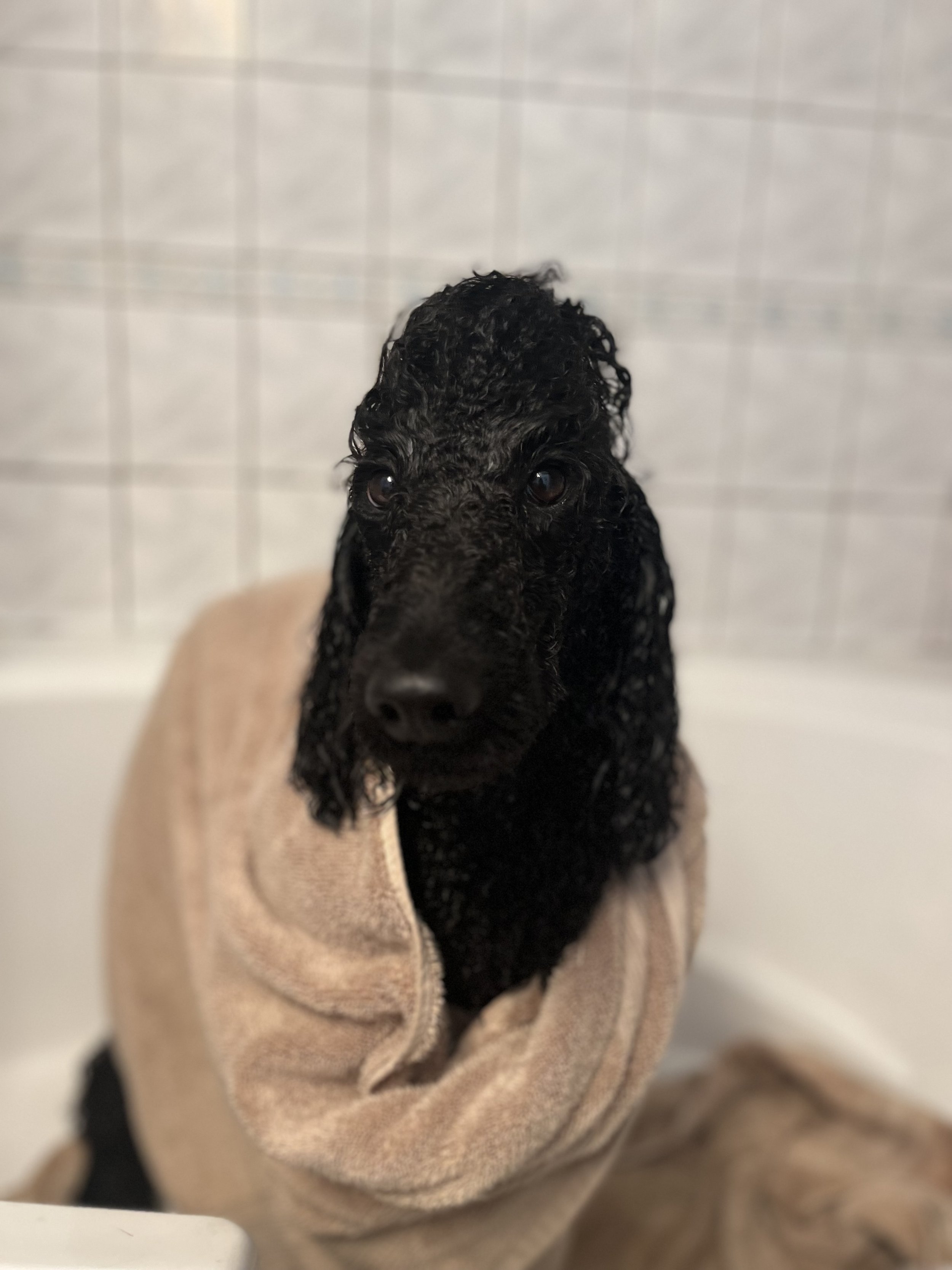 IMG_8901.jpeg