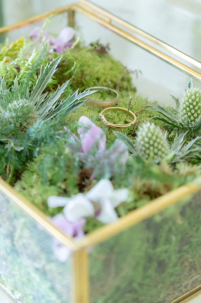 Mariage Estelle & Corentin_-53.jpg