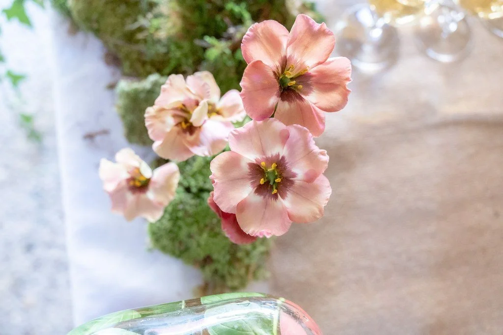 Mariage Estelle & Corentin_-471.jpg