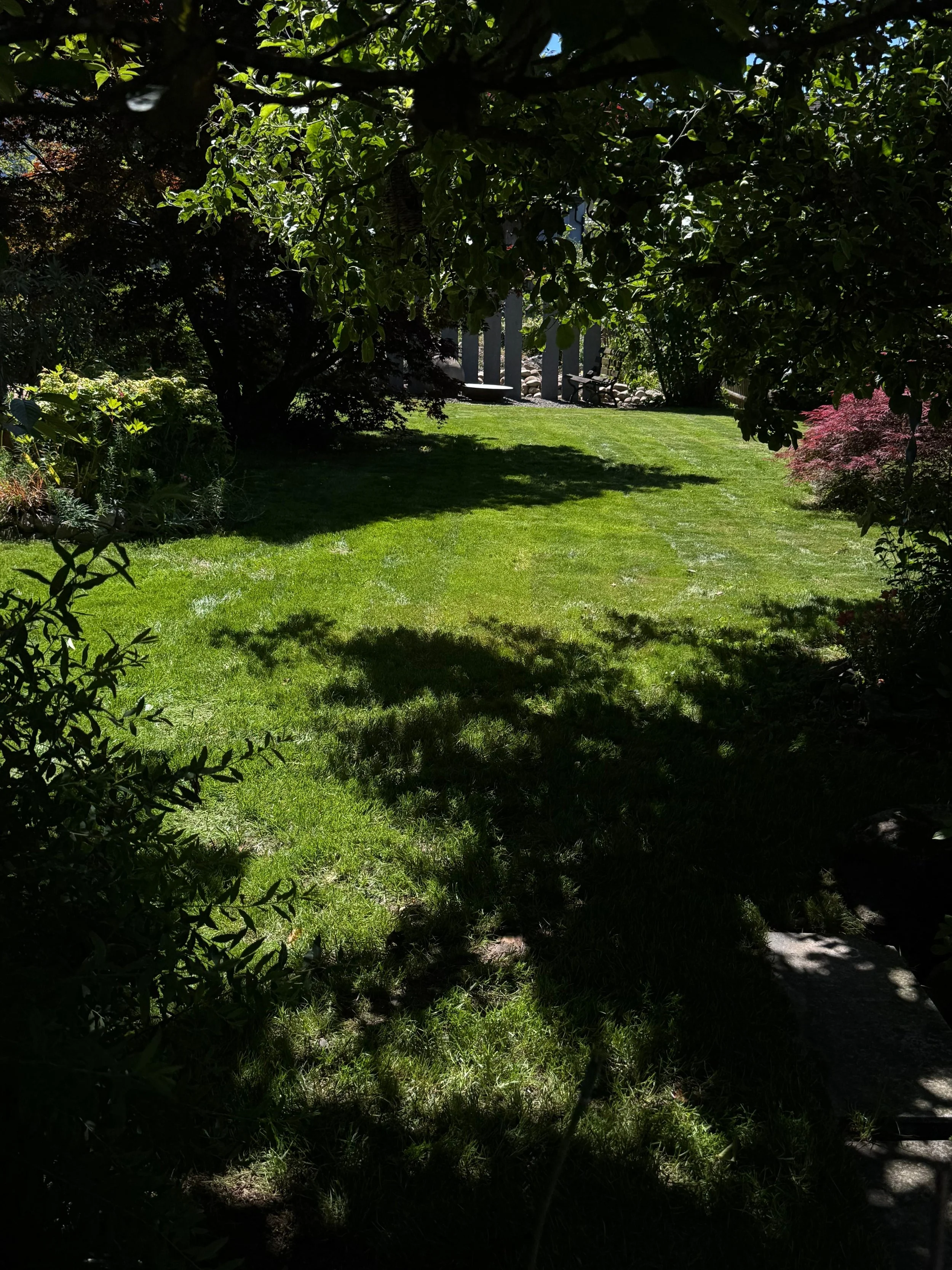 Ein gepflegter Garten in Bern, mit Sträuchern, Hecken und Stauden