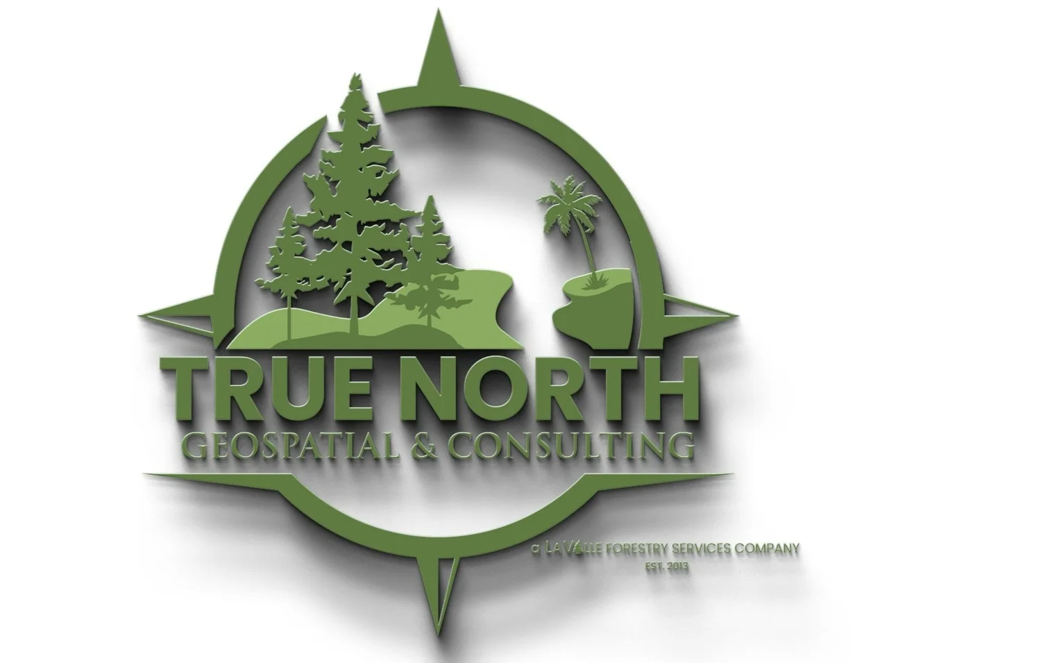 True North Geospatial &amp; Consulting