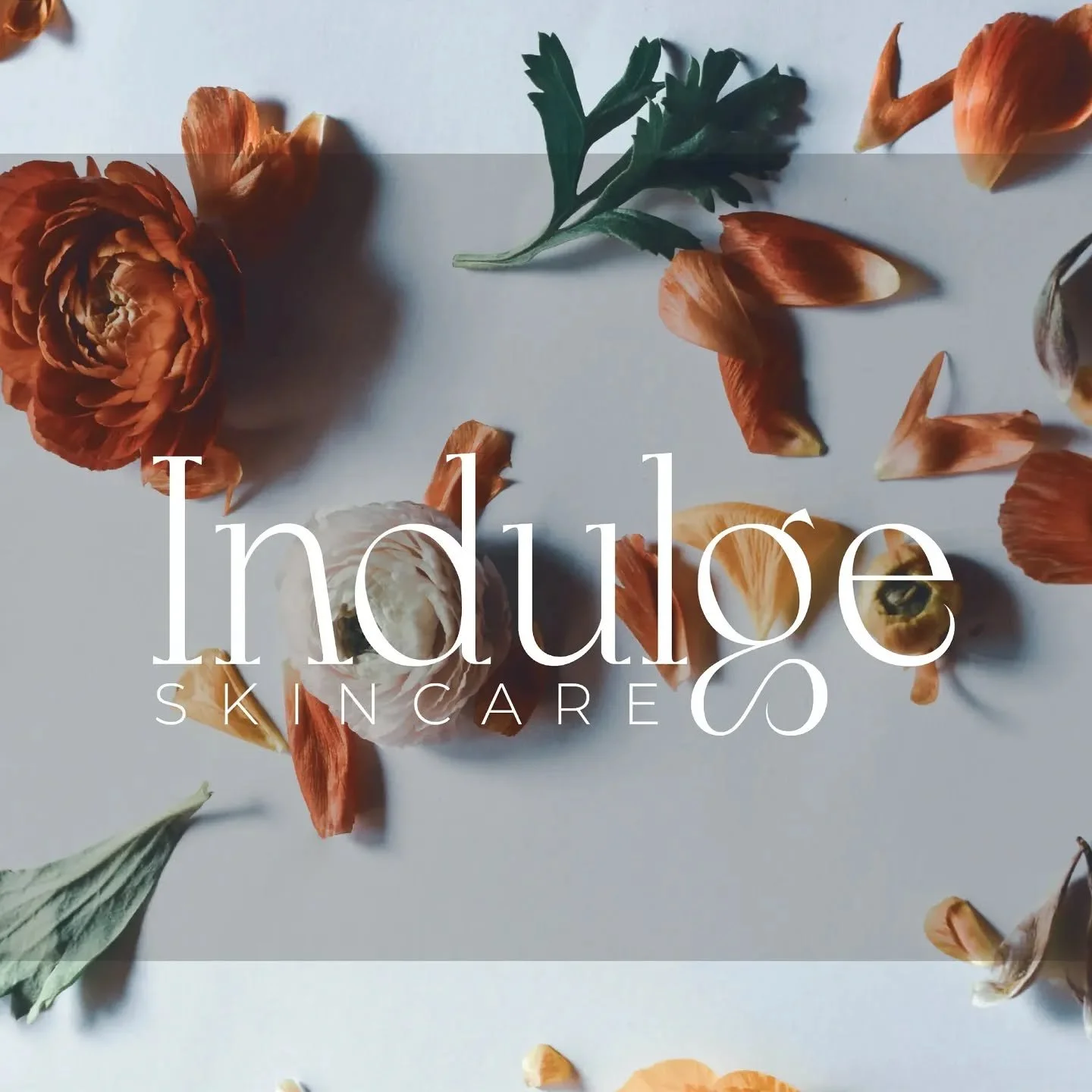 Package design ✨ for Indulge Skincare

#graphicdesign #packagingdesign #freelance #skincare #illustration