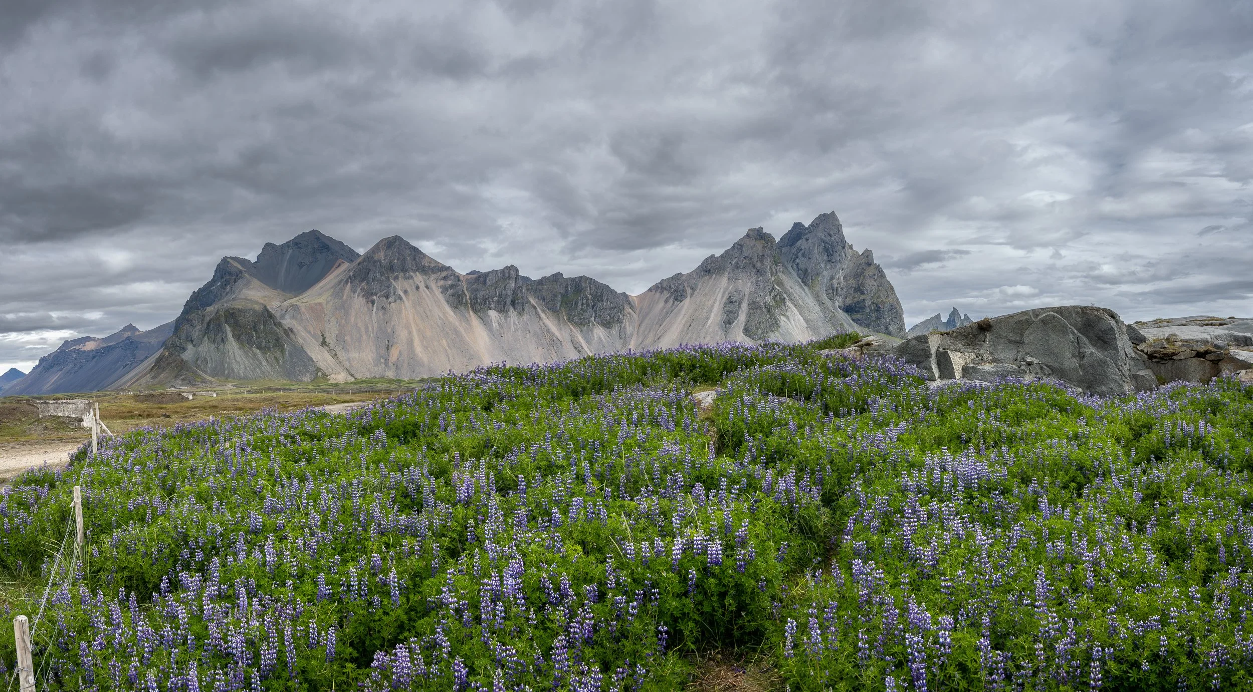 _DSC3464-Pano.jpg