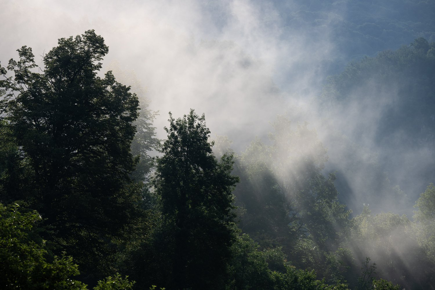 _DSC9961.jpg