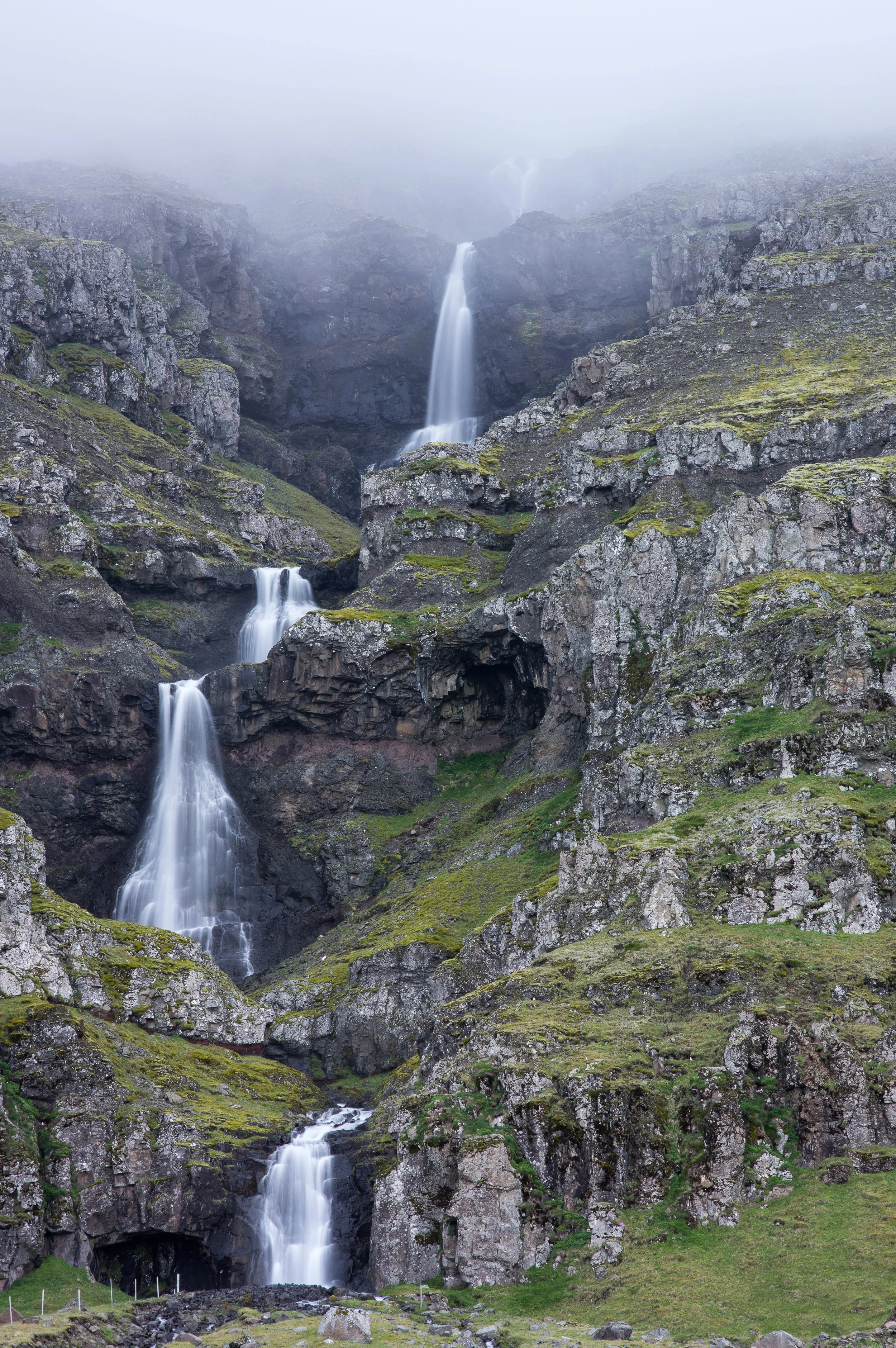 _IMG1117.jpg