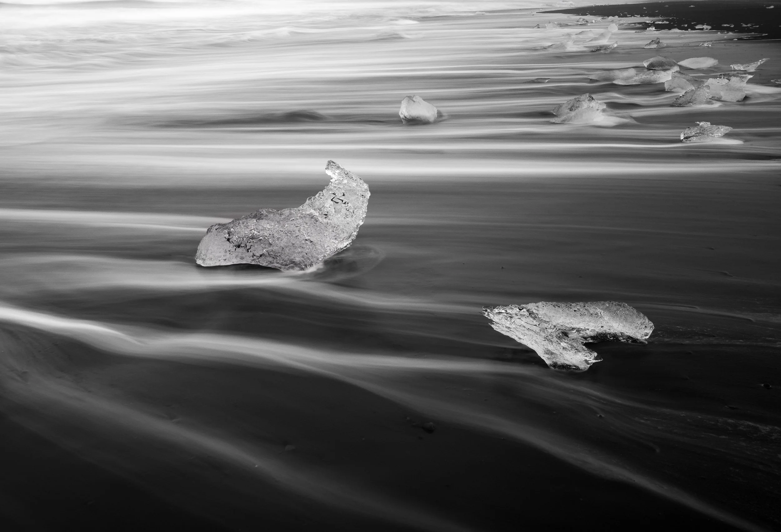 _IMG1605.jpg